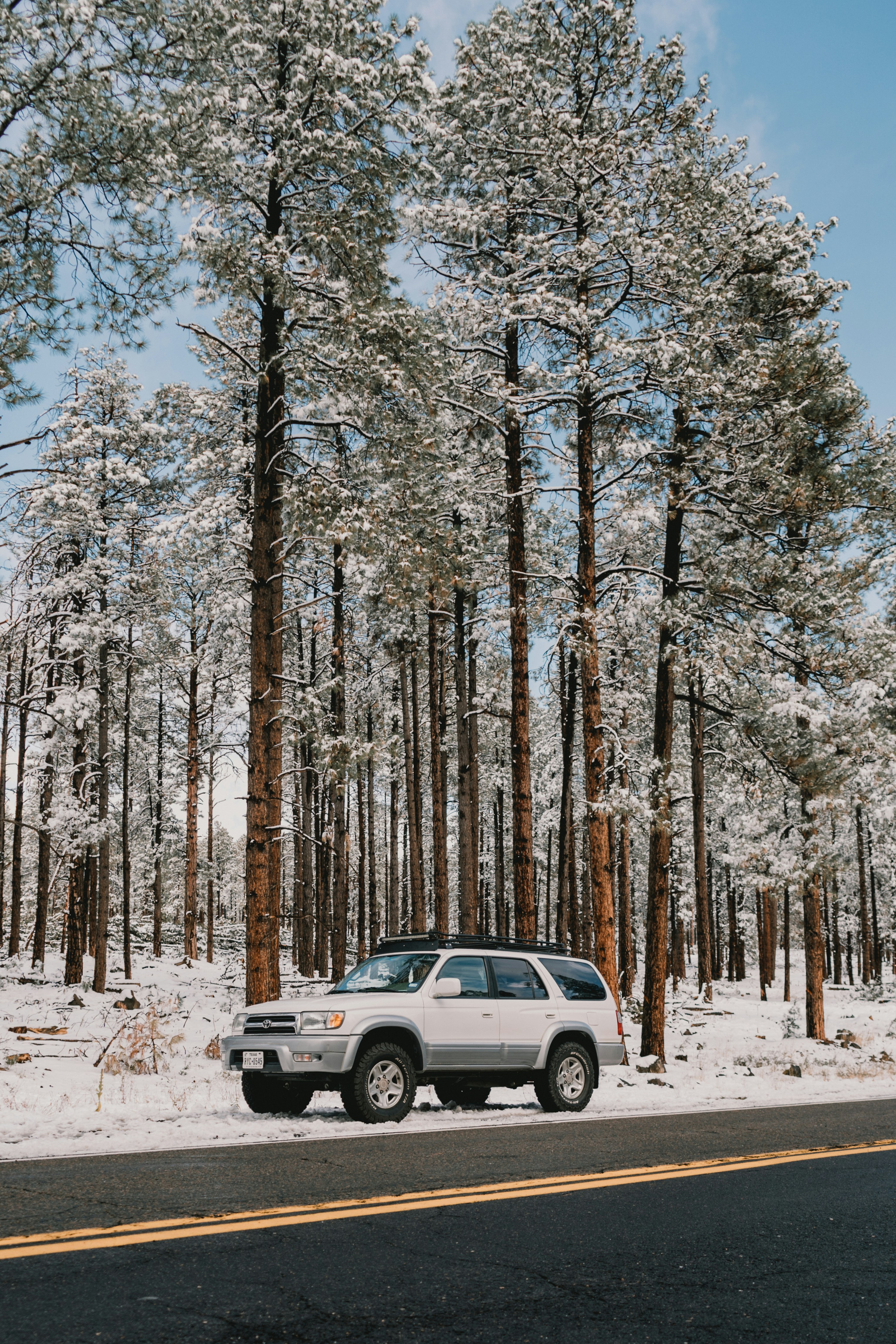 Photo by luisflores762