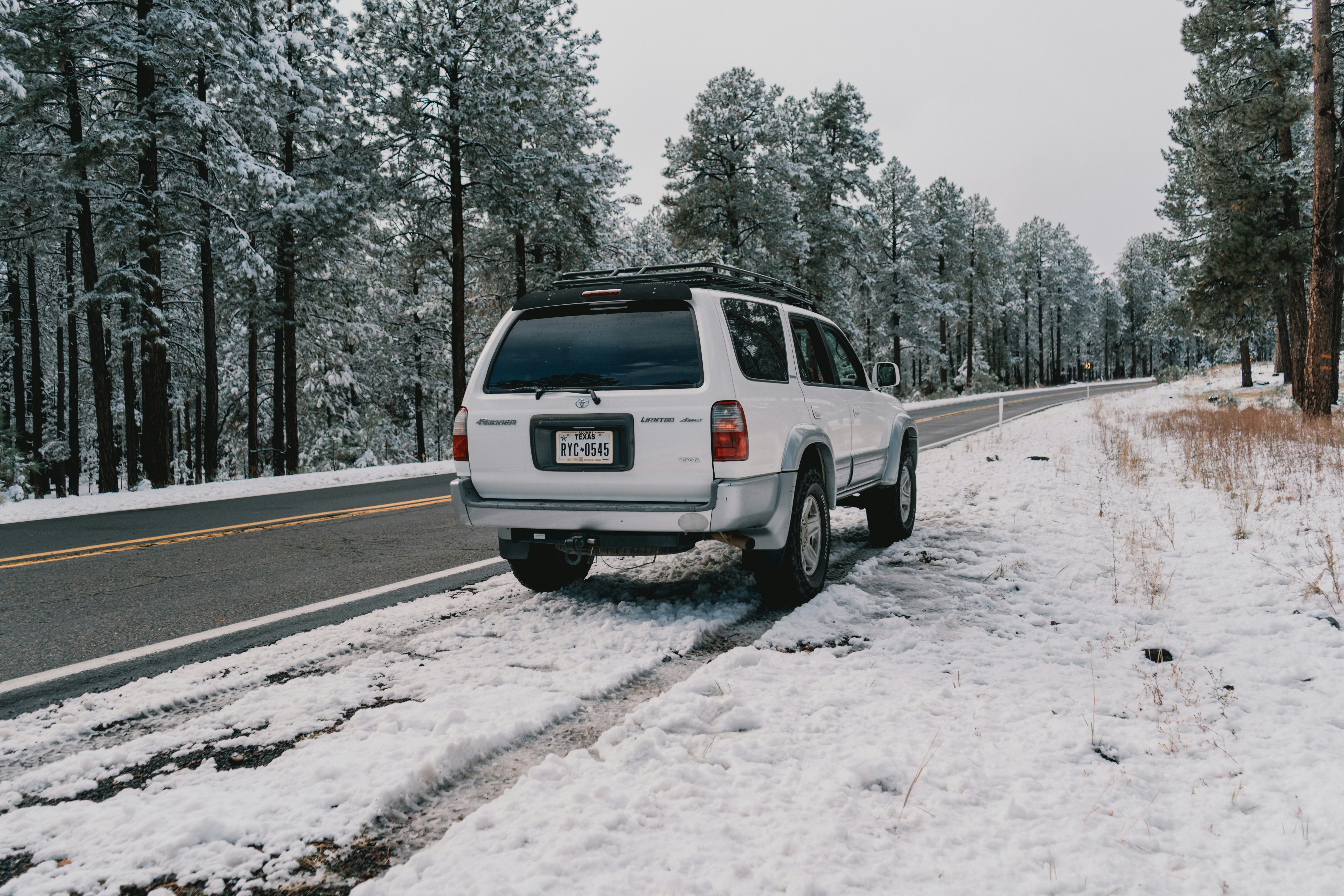 Photo by luisflores762