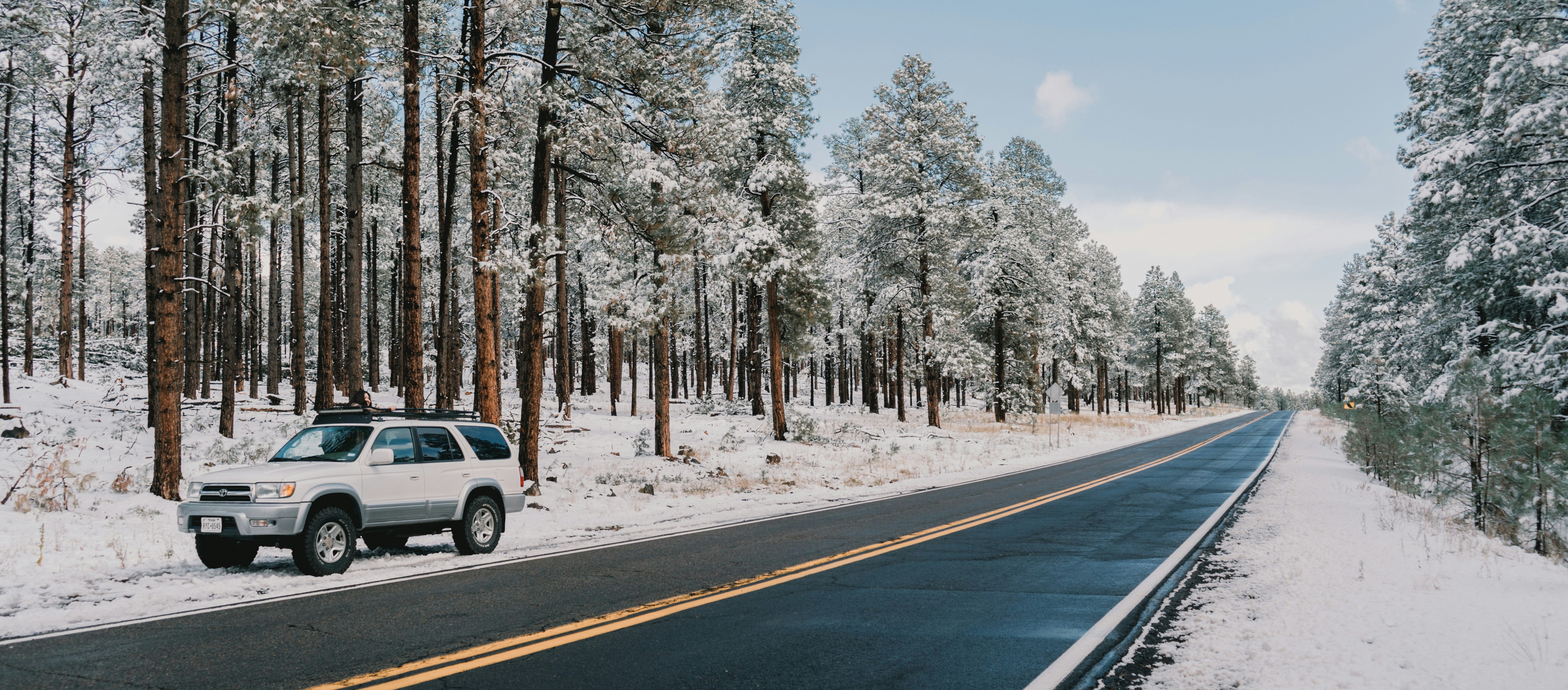 Photo by luisflores762