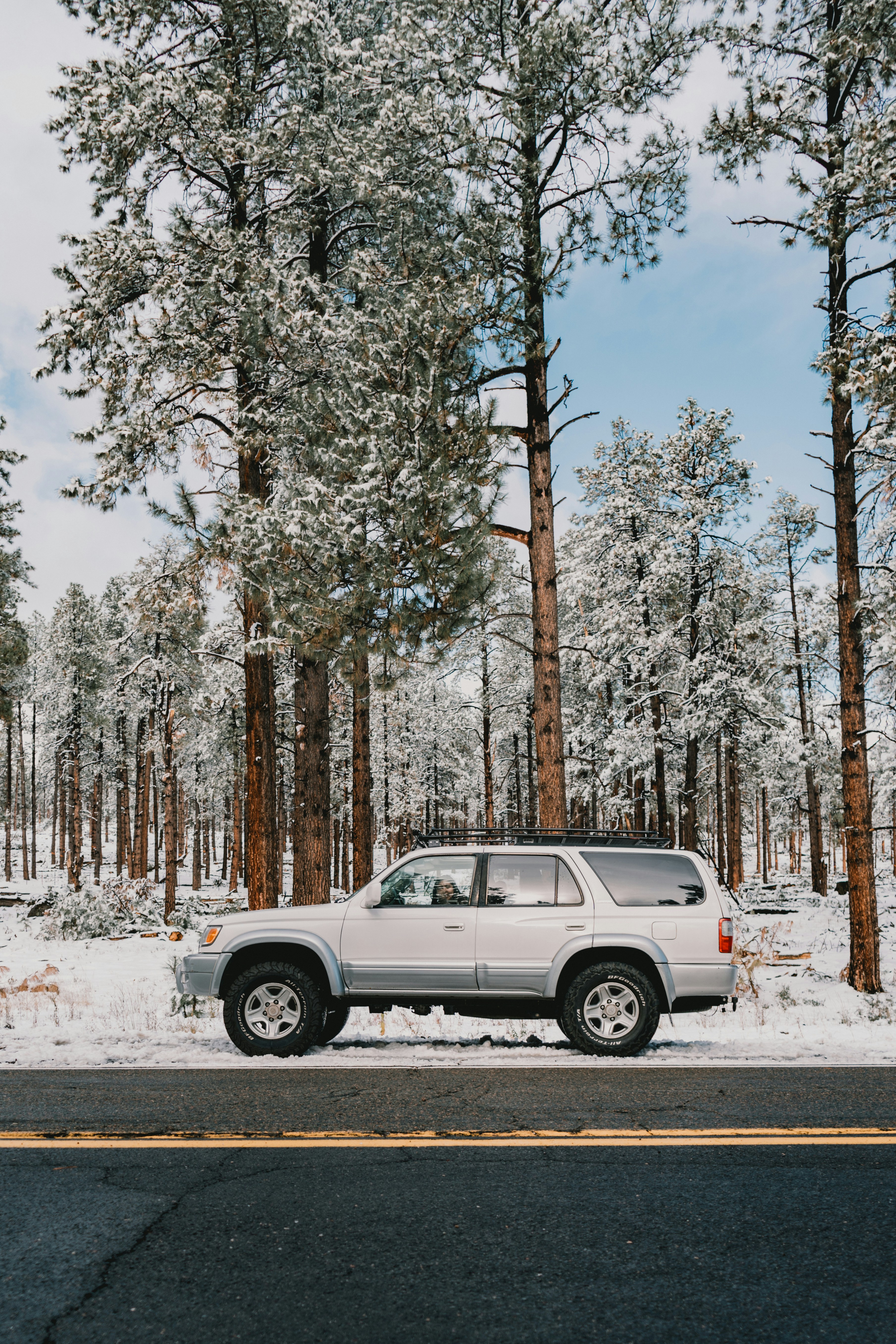 Photo by luisflores762