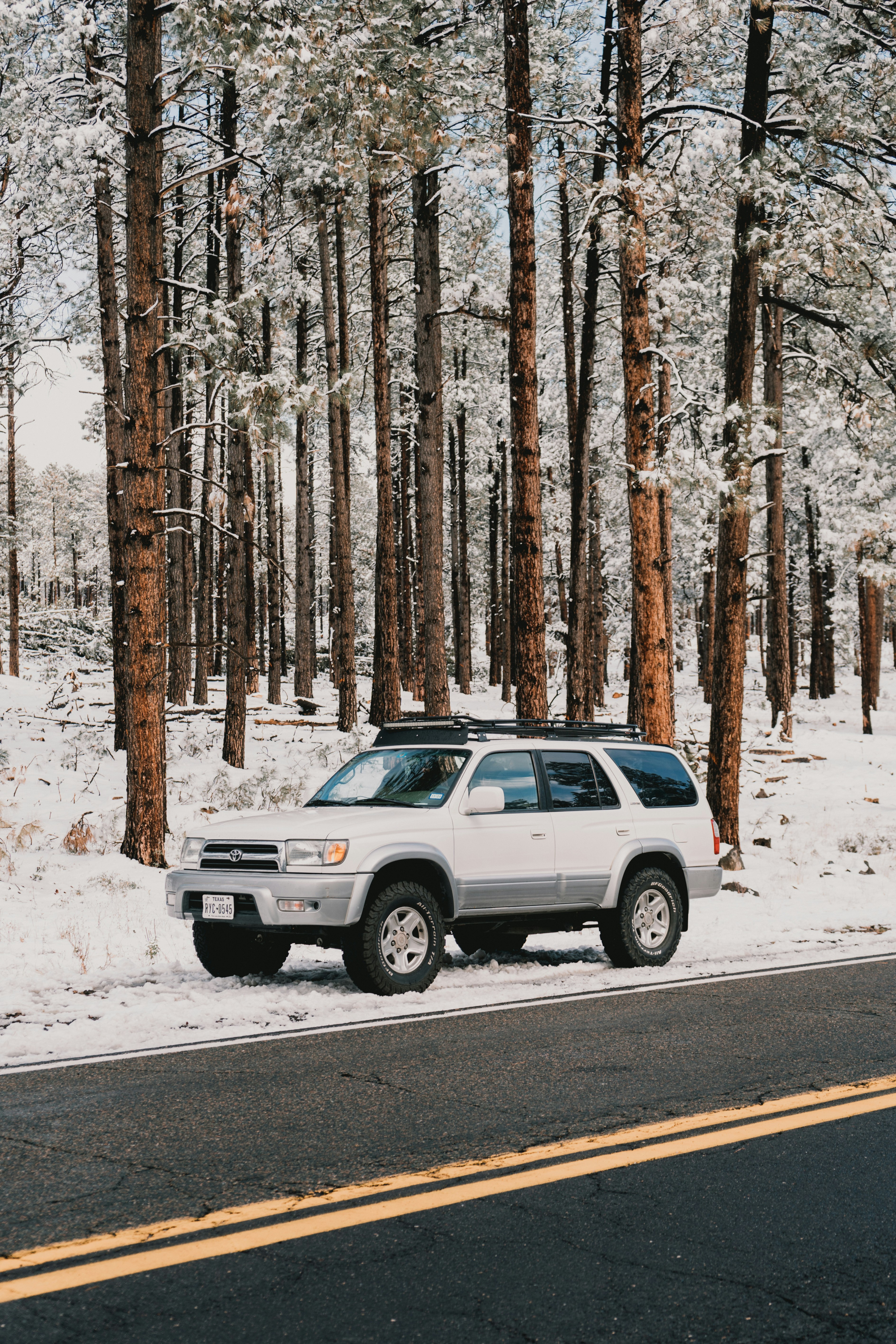 Photo by luisflores762