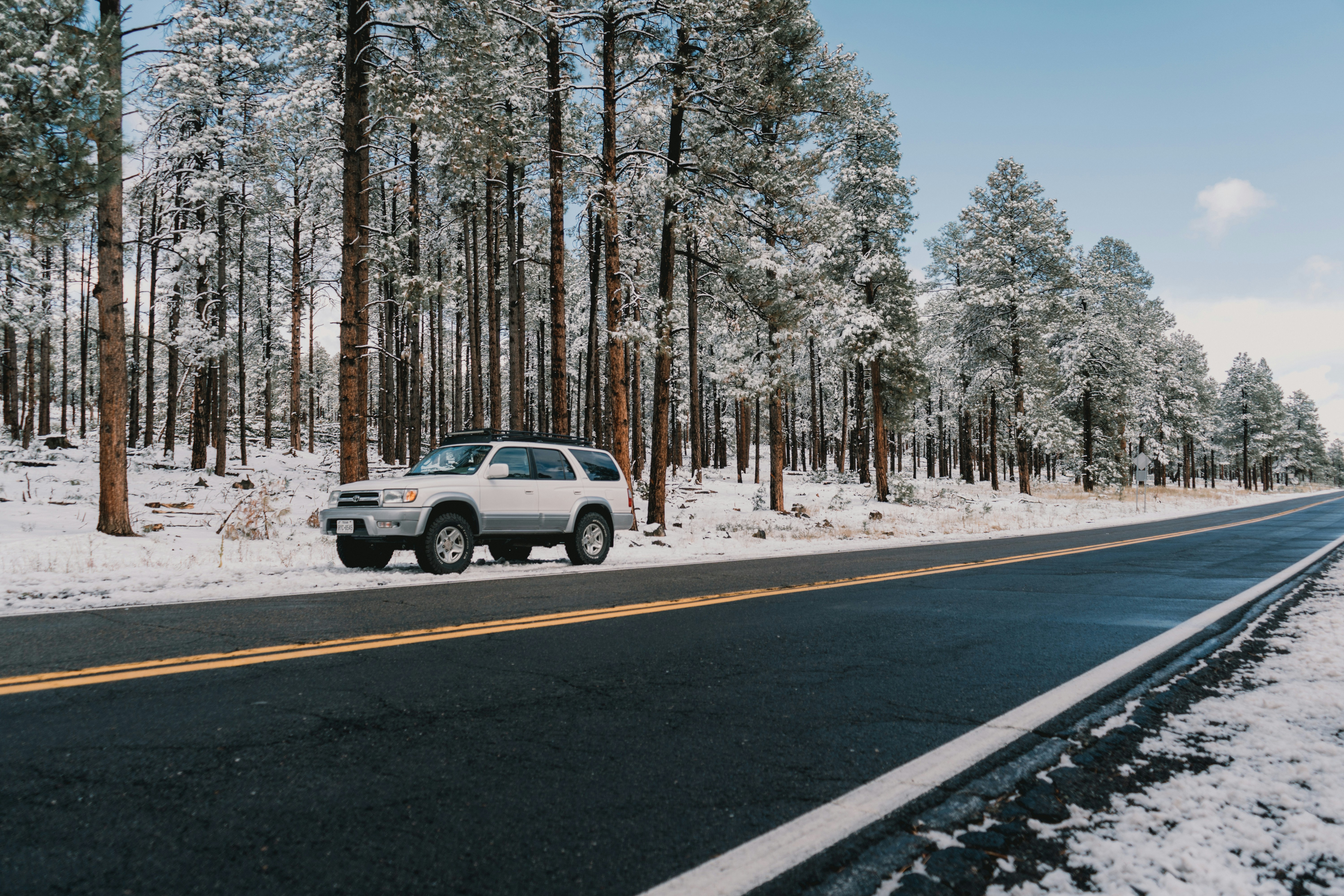 Photo by luisflores762