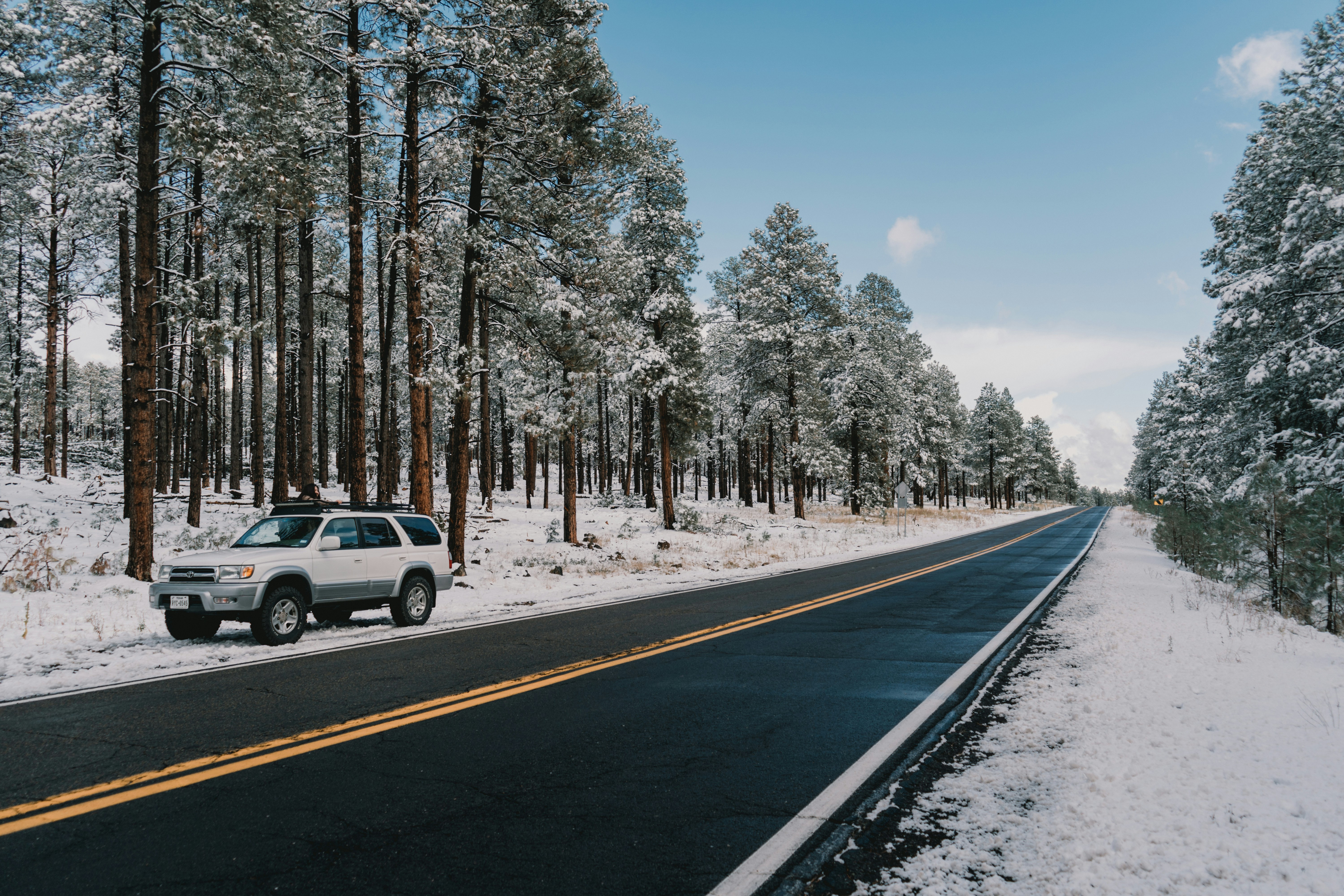 Photo by luisflores762