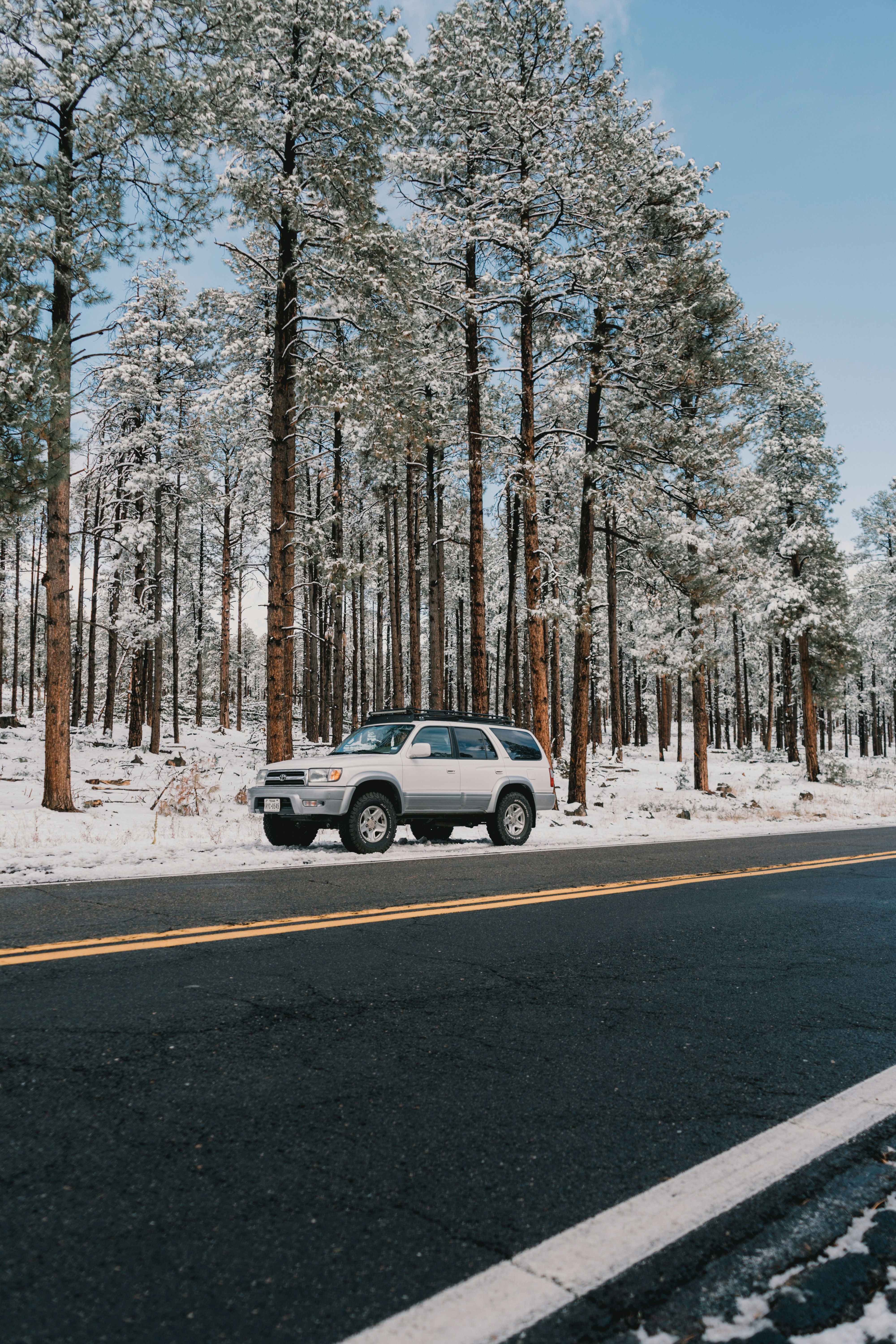 Photo by luisflores762