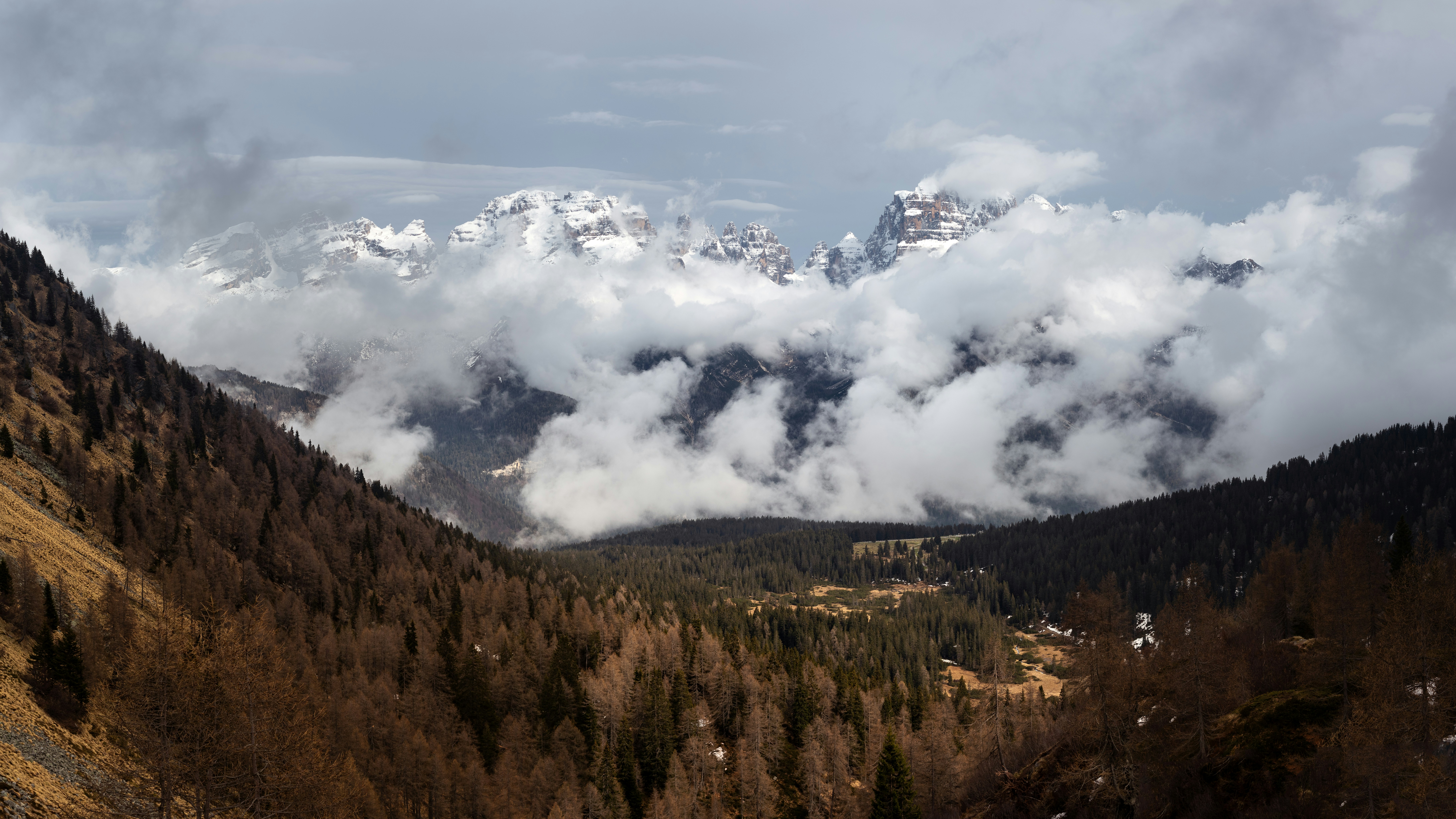 Photo by marekpiwnicki