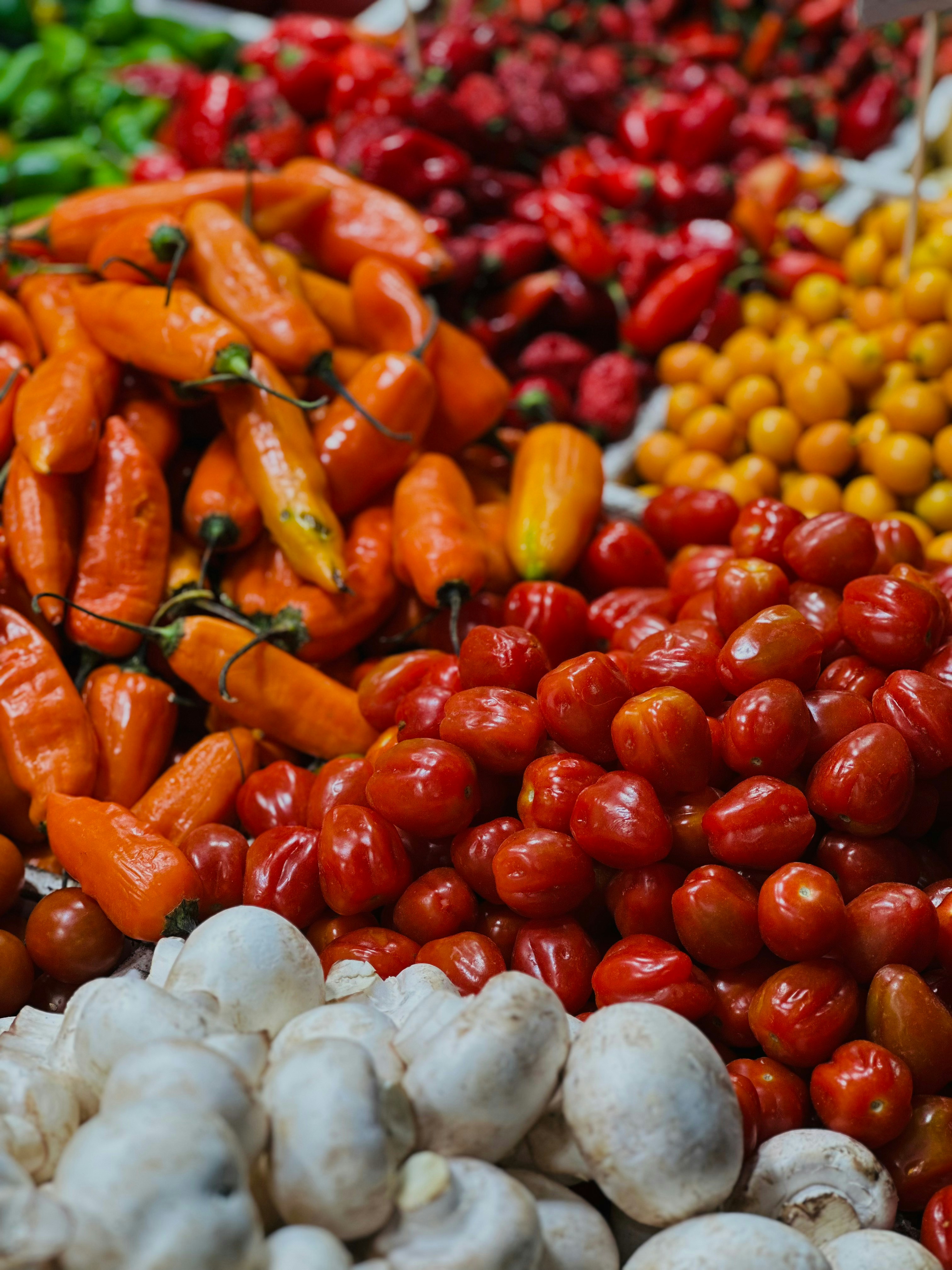 Photo by fioredamiano