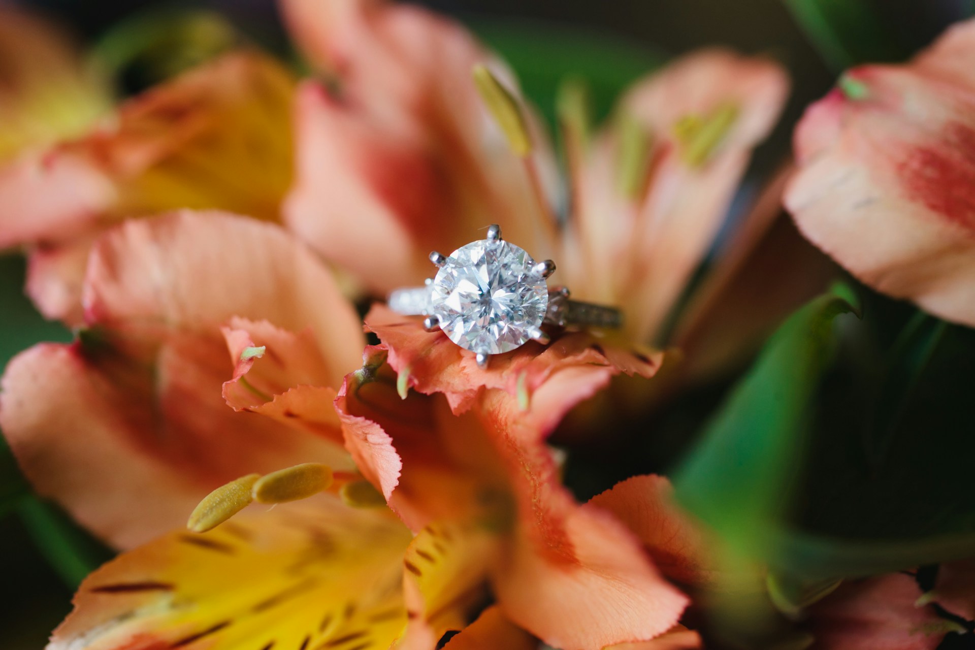 A close up of a diamond ring on a flower