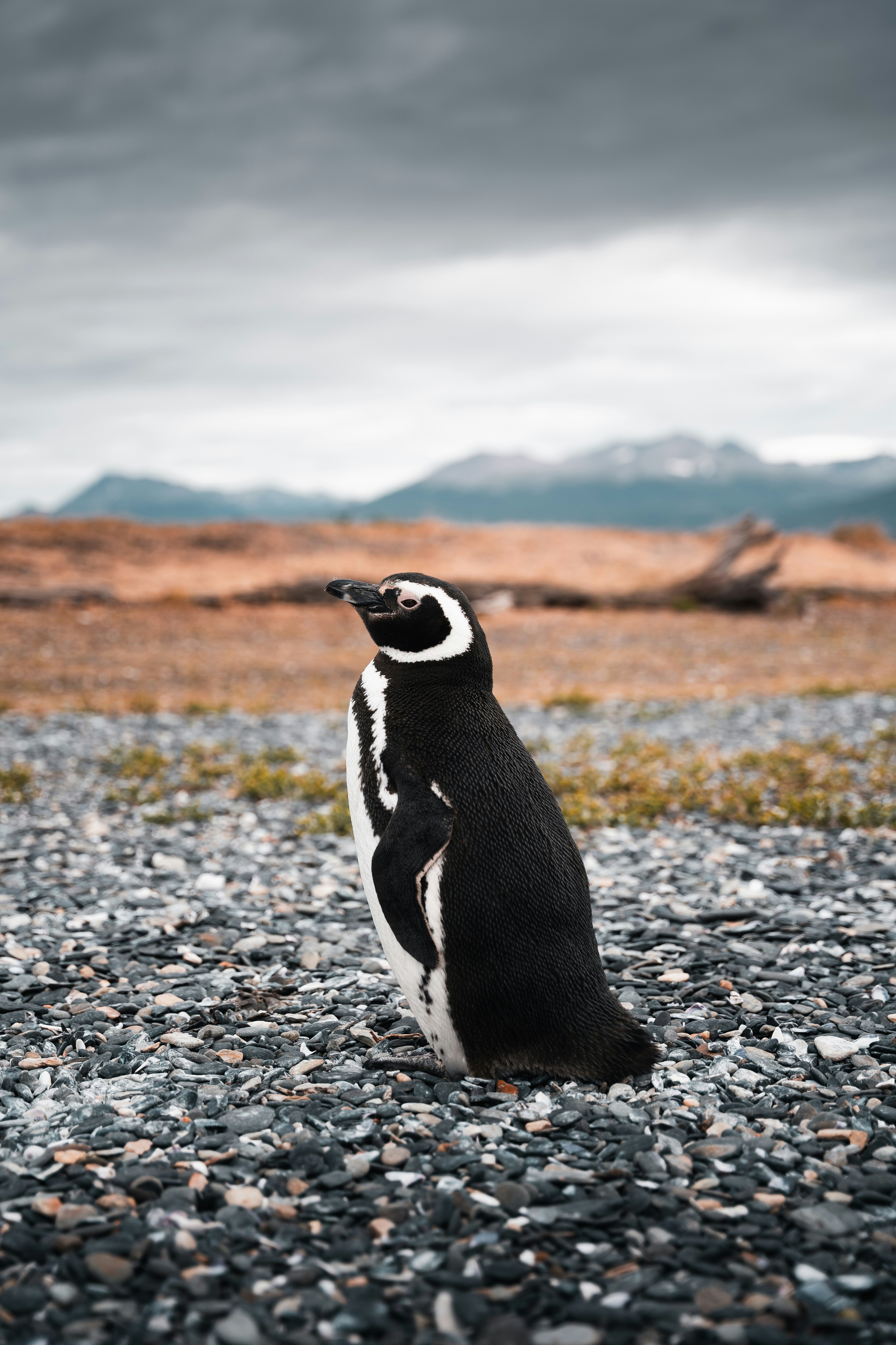 Photo by auchynnikau