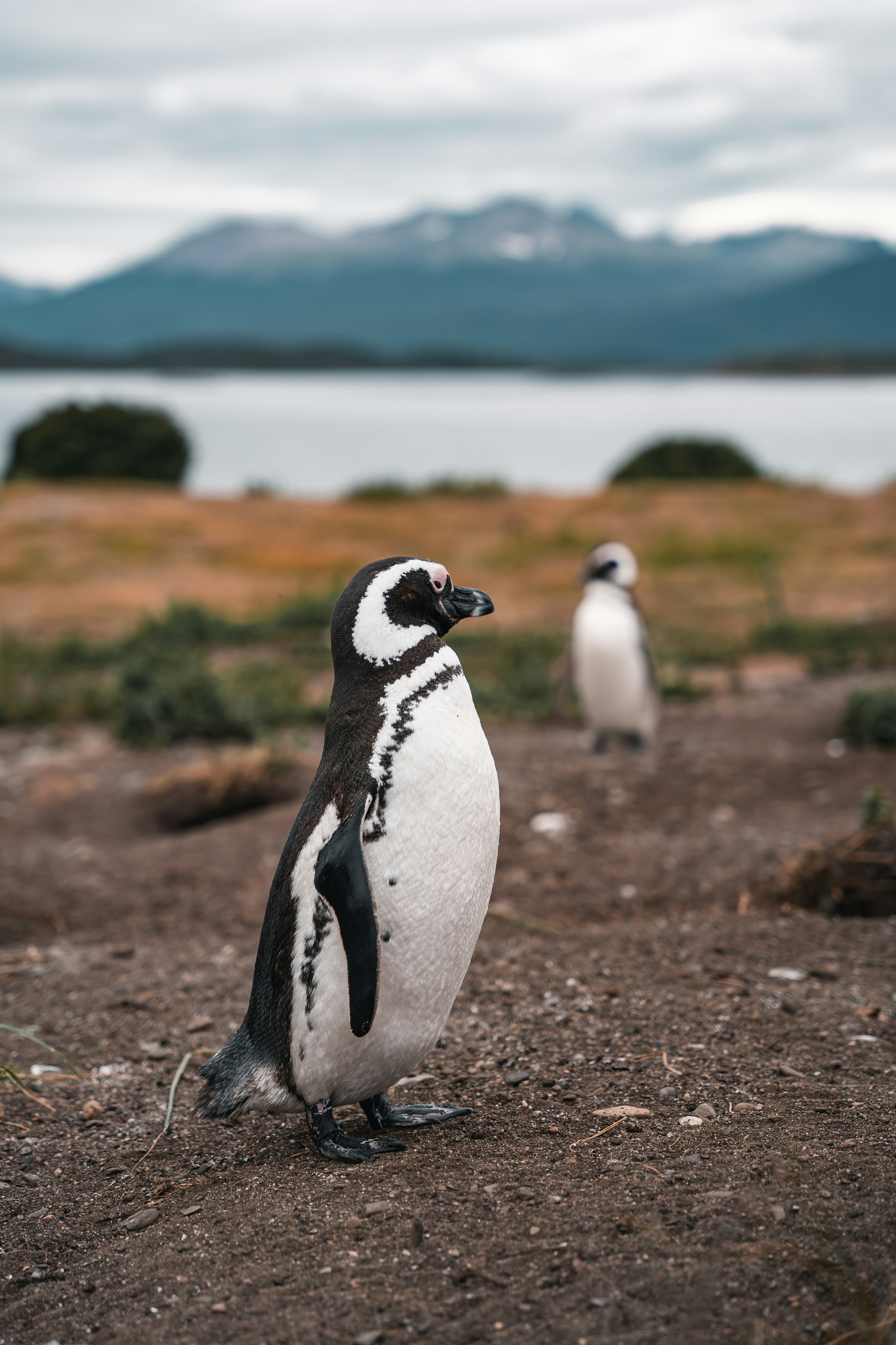 Photo by auchynnikau