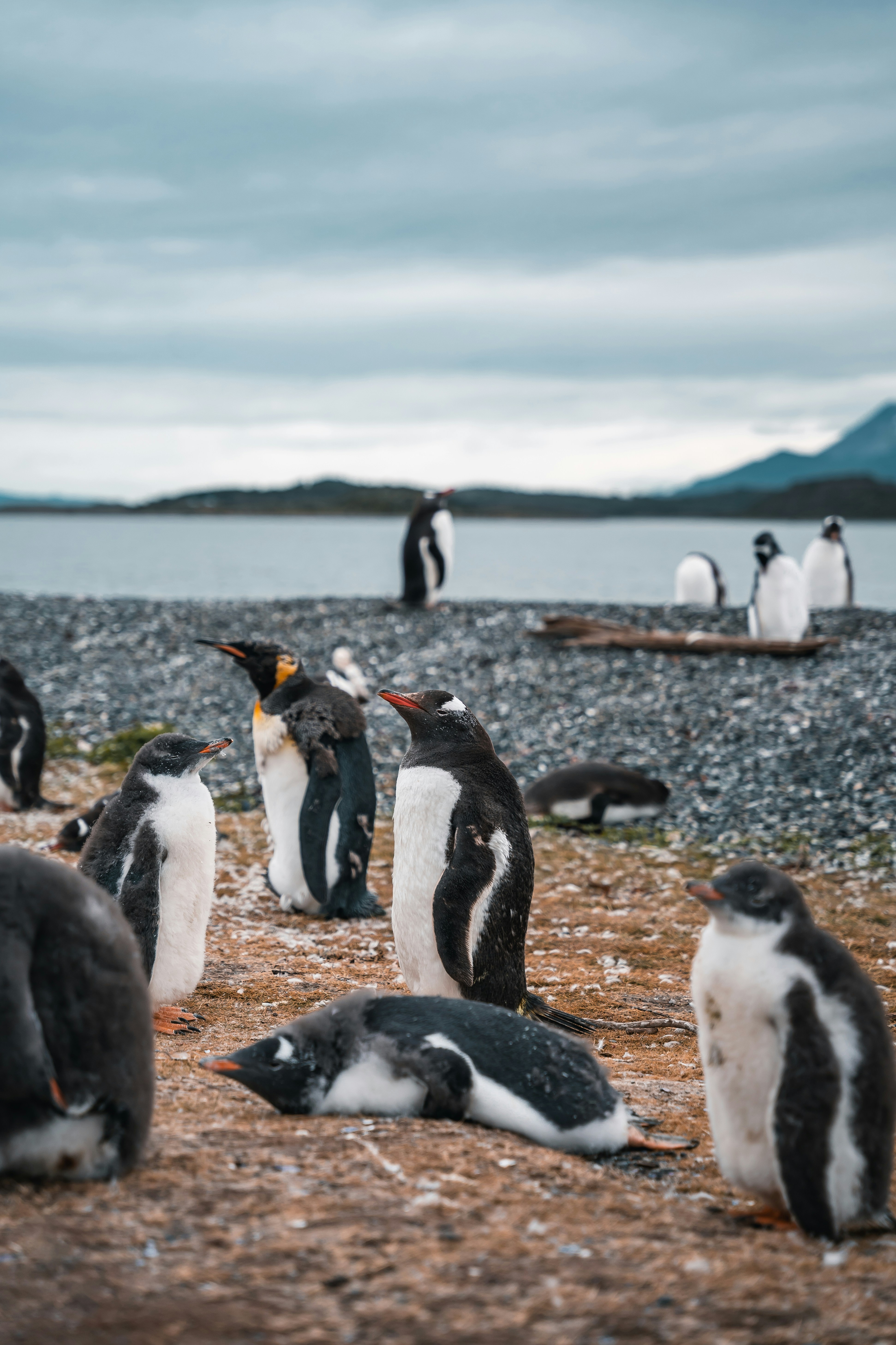 Photo by auchynnikau