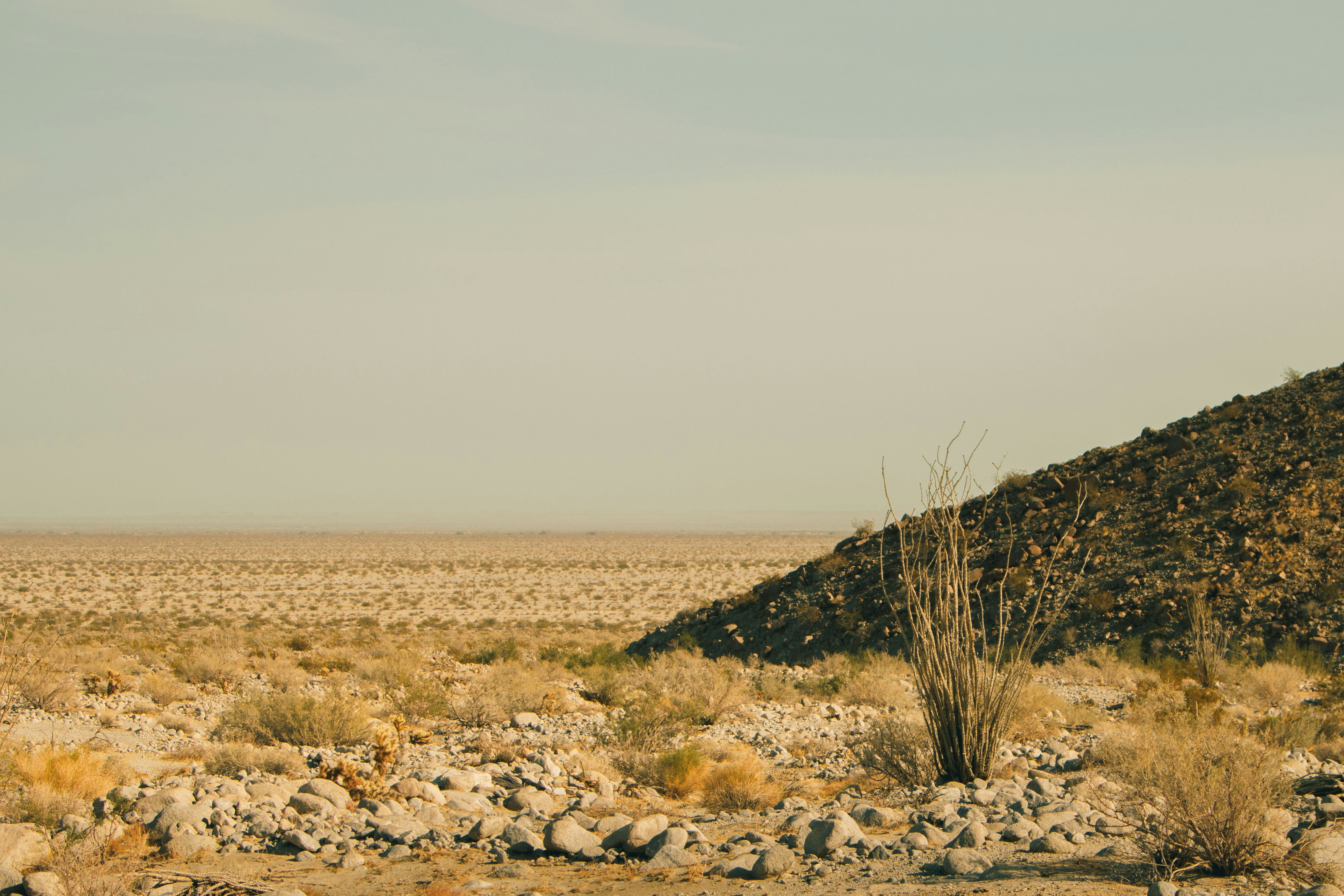 Ocotillo Wells, California