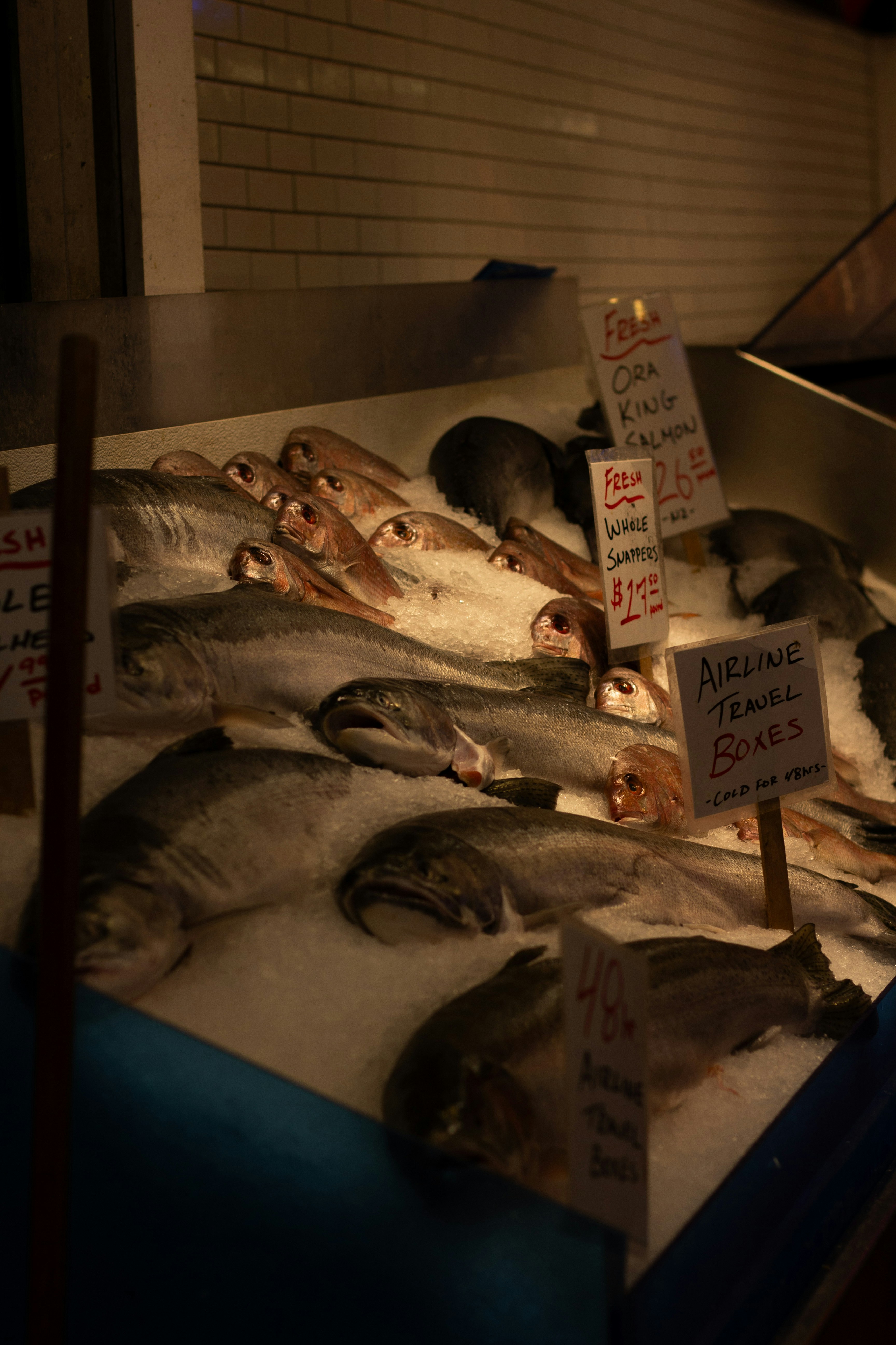 photo-1737501332276-d34cbc662bb1?ixid=M3wxMjA3fDB8MXxzZWFyY2h8MTZ8fGJ1eSUyMGFyb3dhbmElMjBmaXNofGVufDB8fHx8MTc0OTQ3MzE5N3ww\u0026ixlib=rb-4.1.0