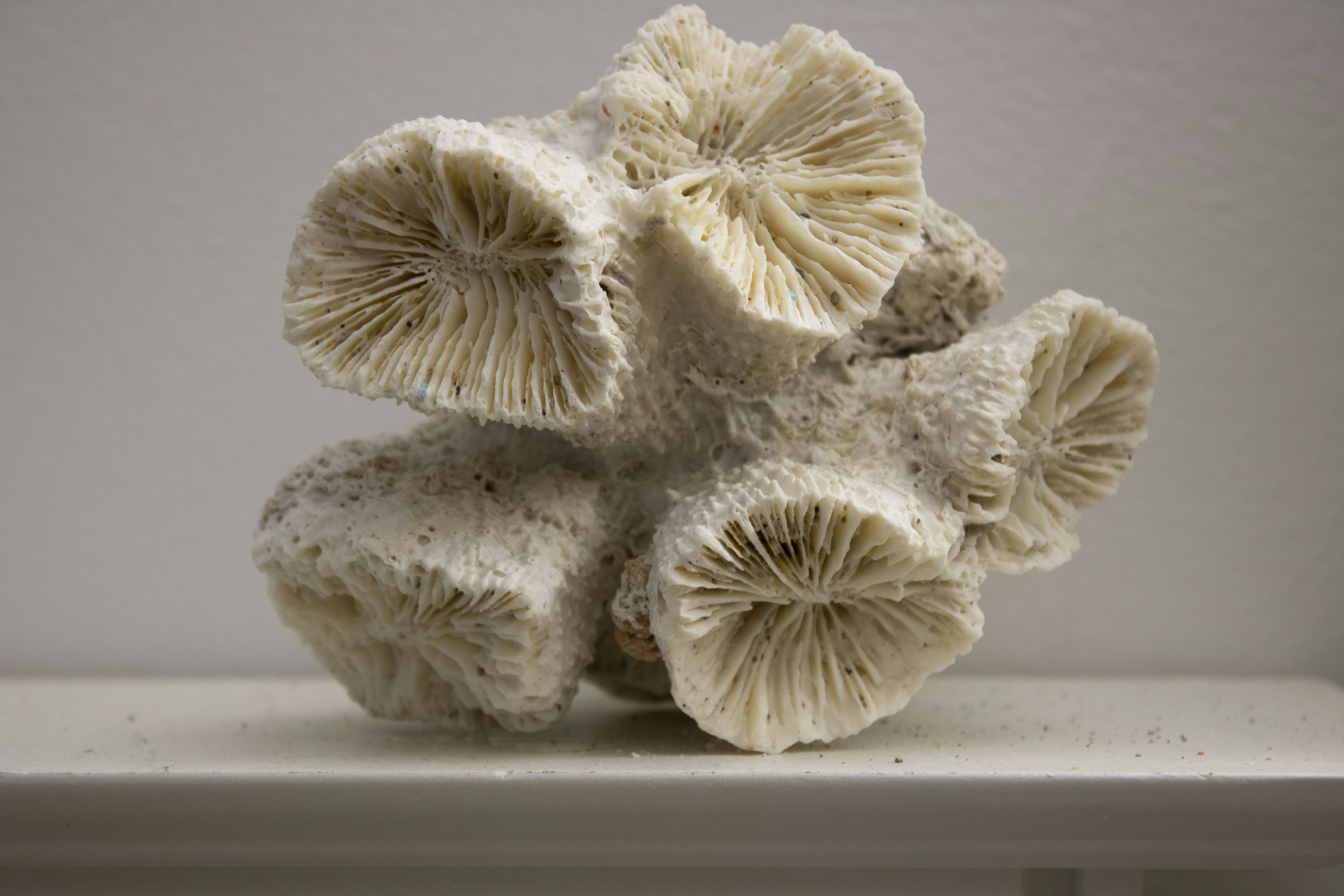 Photo by ivan_aviles