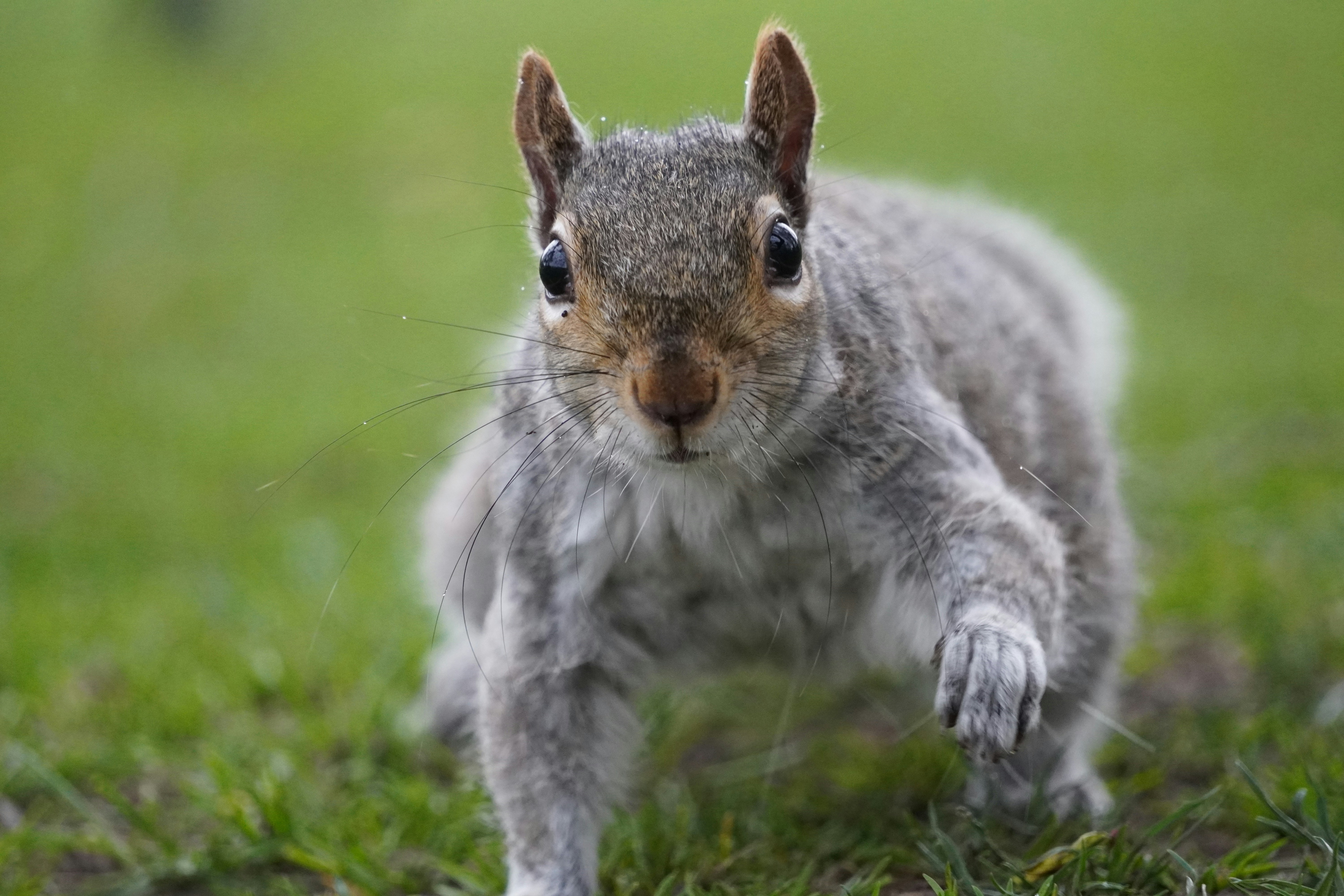 Photo by calm_stardust