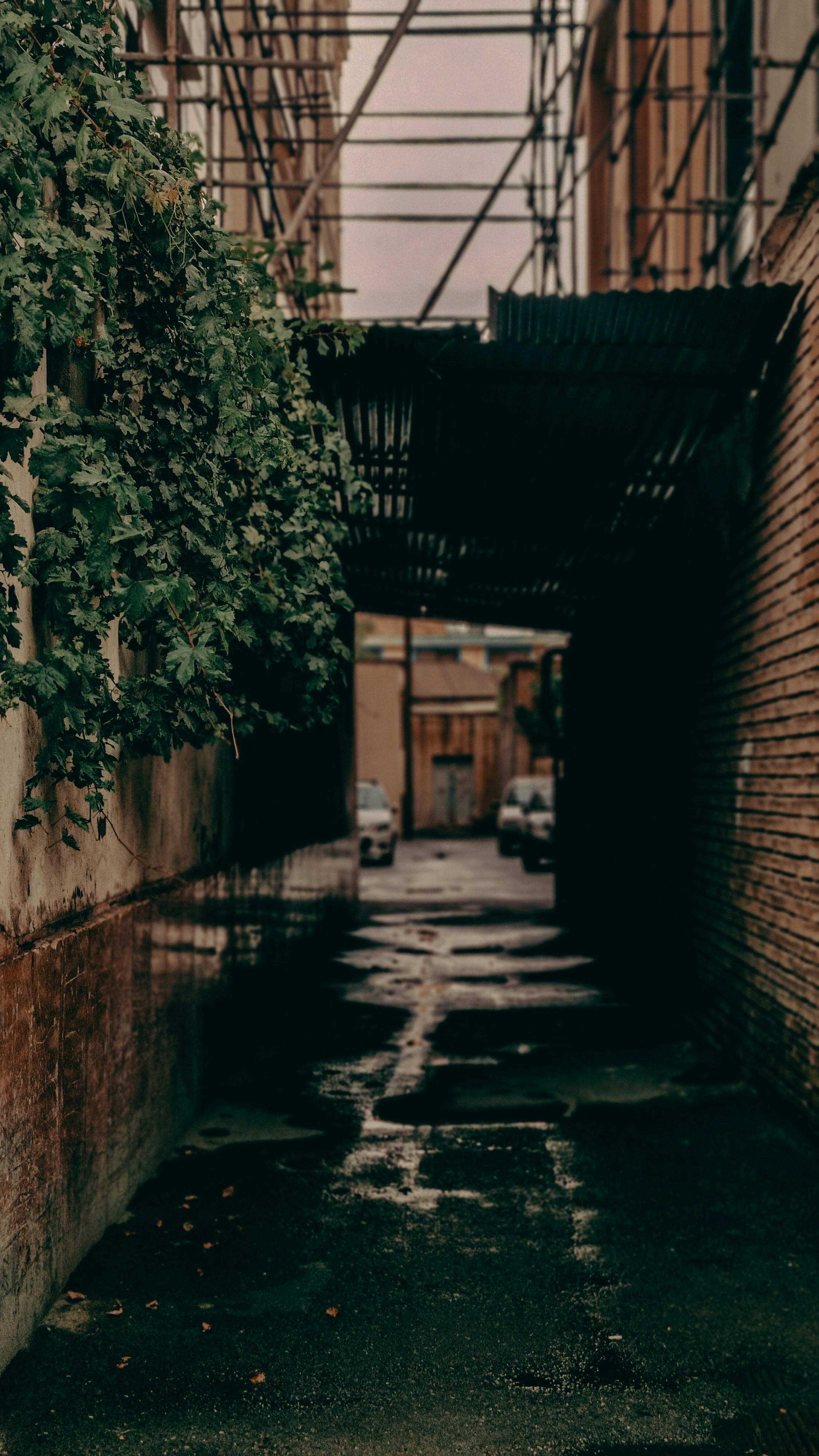 Photo by camuschavoshi