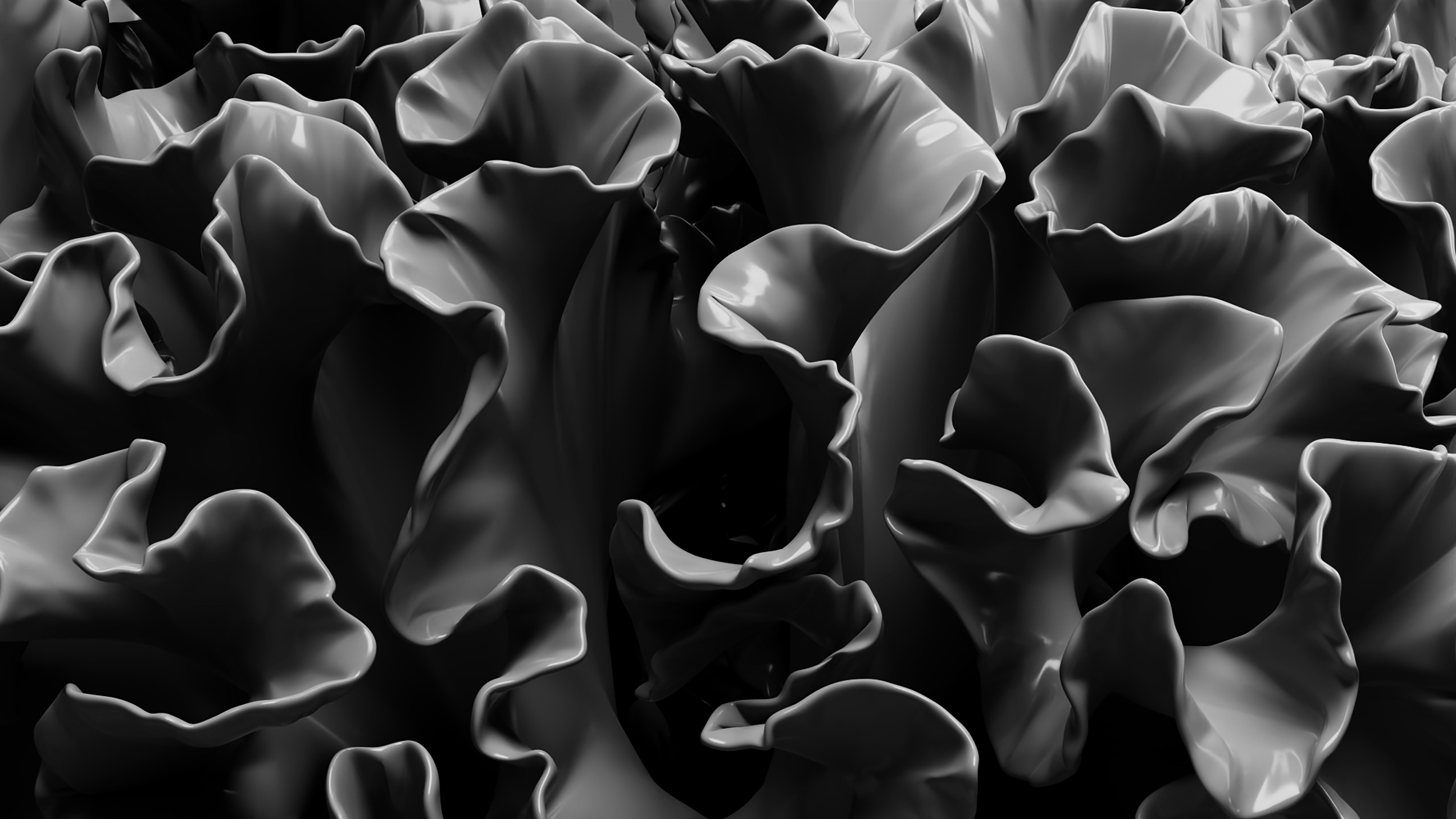 Photo by eclipticgraphic