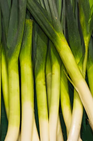 A close up of a bunch of green onions