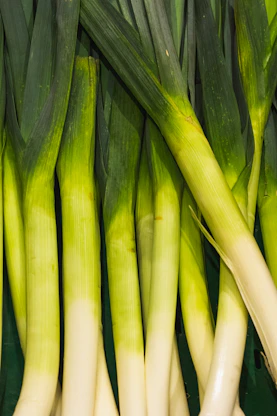 A close up of a bunch of green onions