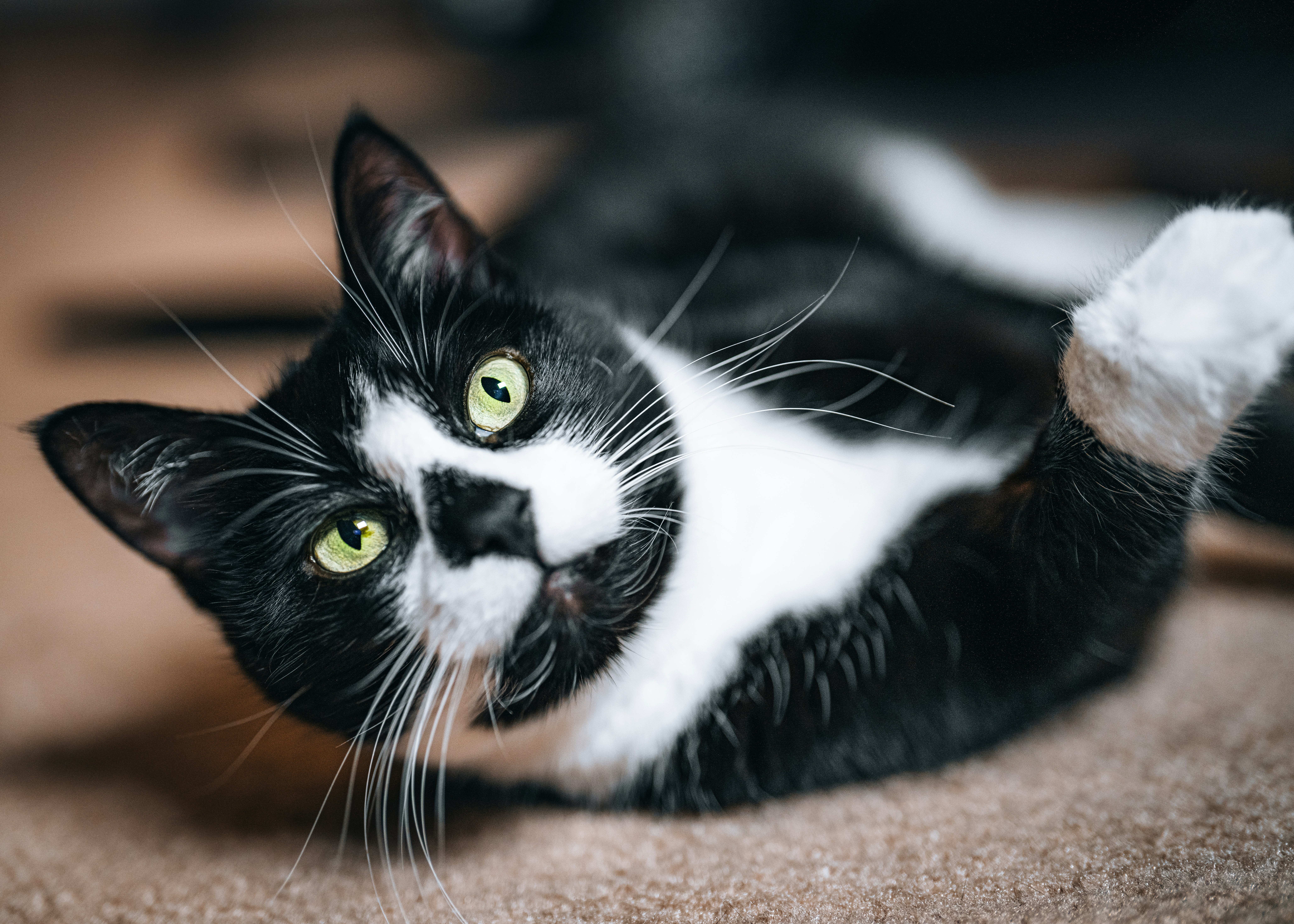 Photo by bugsandslugs