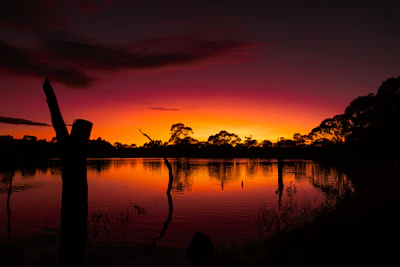 A sunset over a body of water with trees in the background