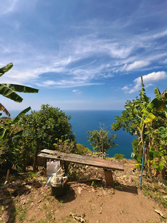 A wooden bench sitting on top of a lush green hillside
