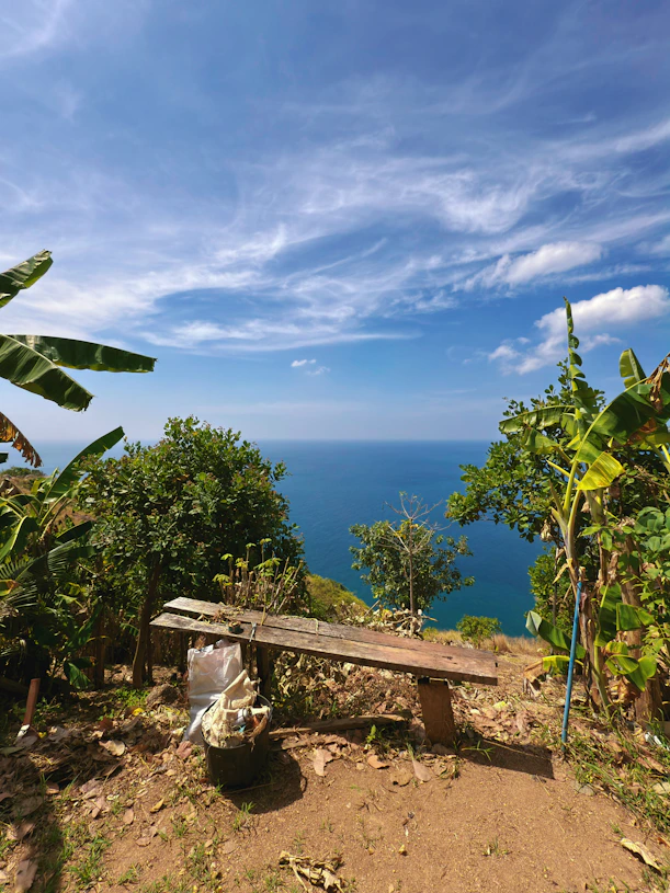 A wooden bench sitting on top of a lush green hillside