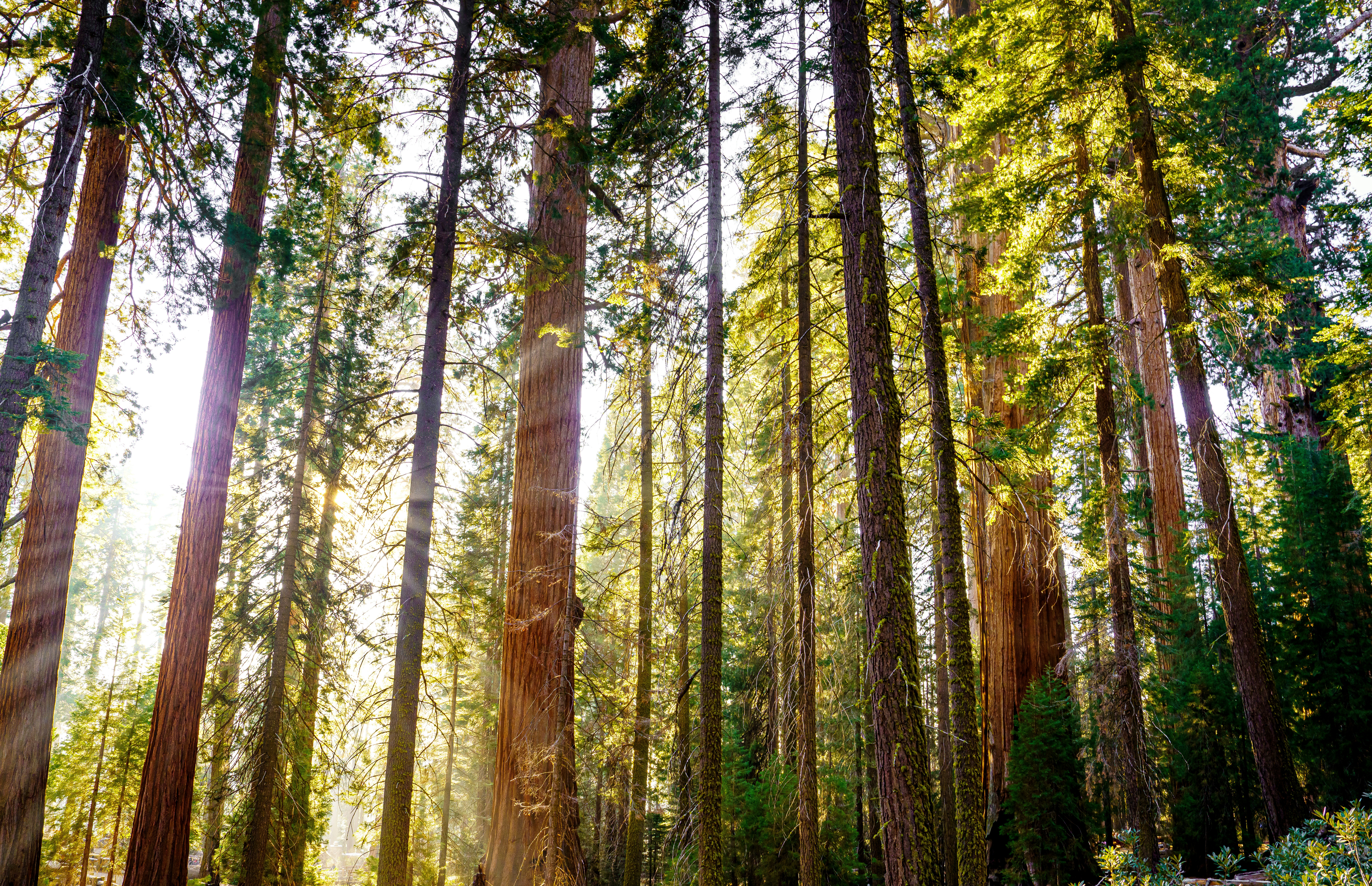 Photo by happy_pixel