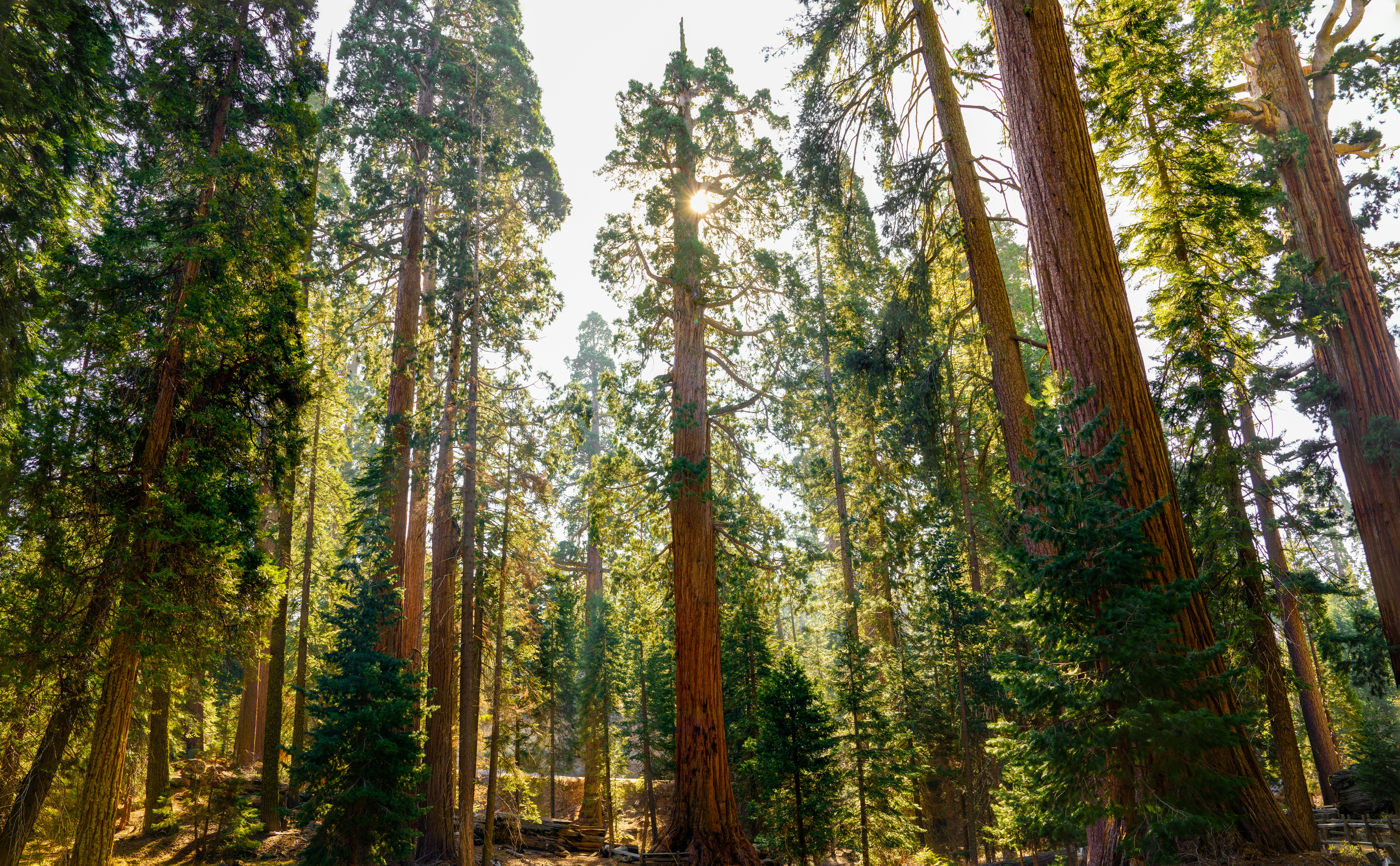 Photo by happy_pixel