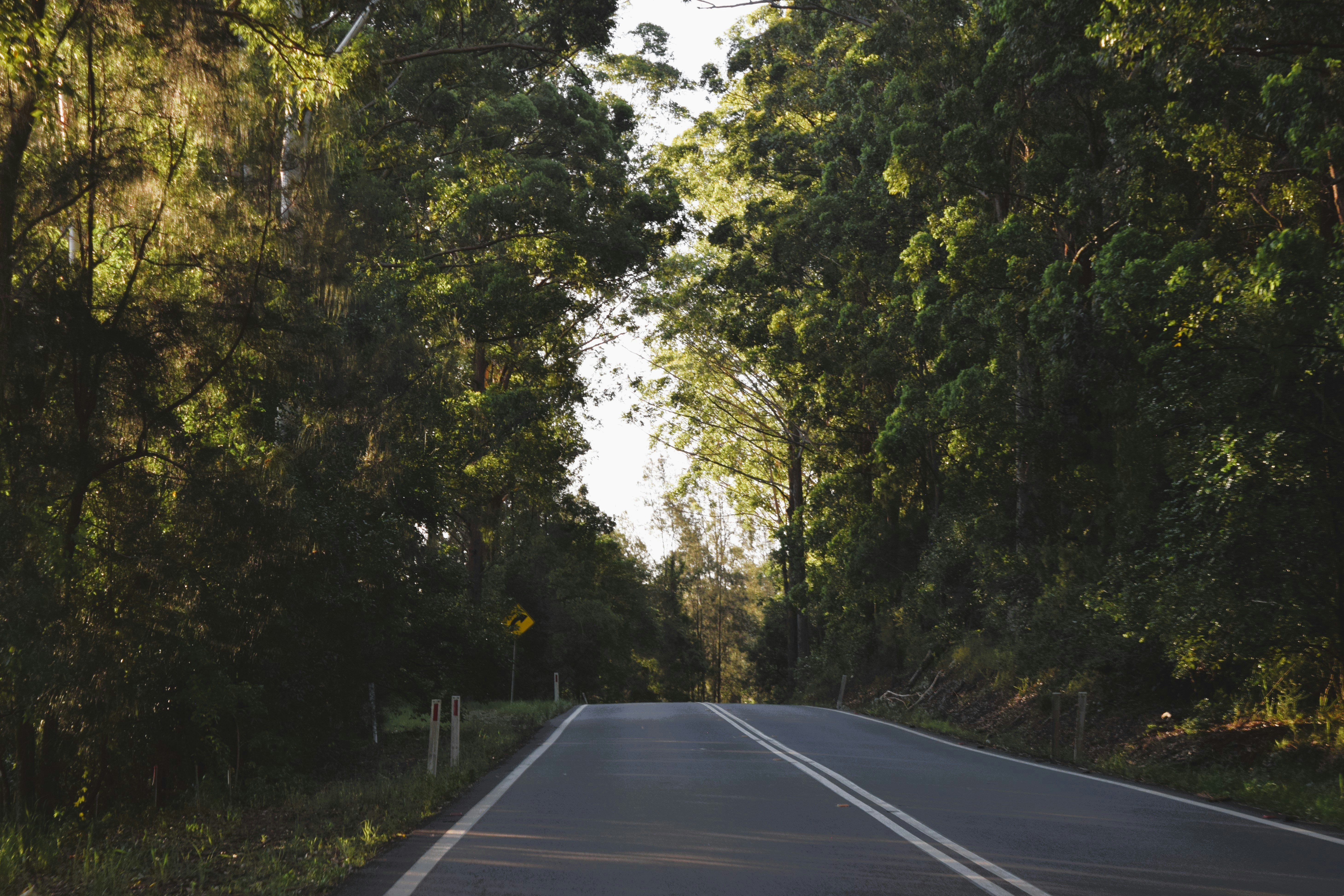 Photo by ch_photography