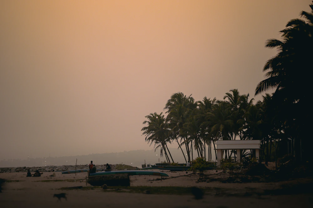 Palm-fringed Kovalam coast in Kerala