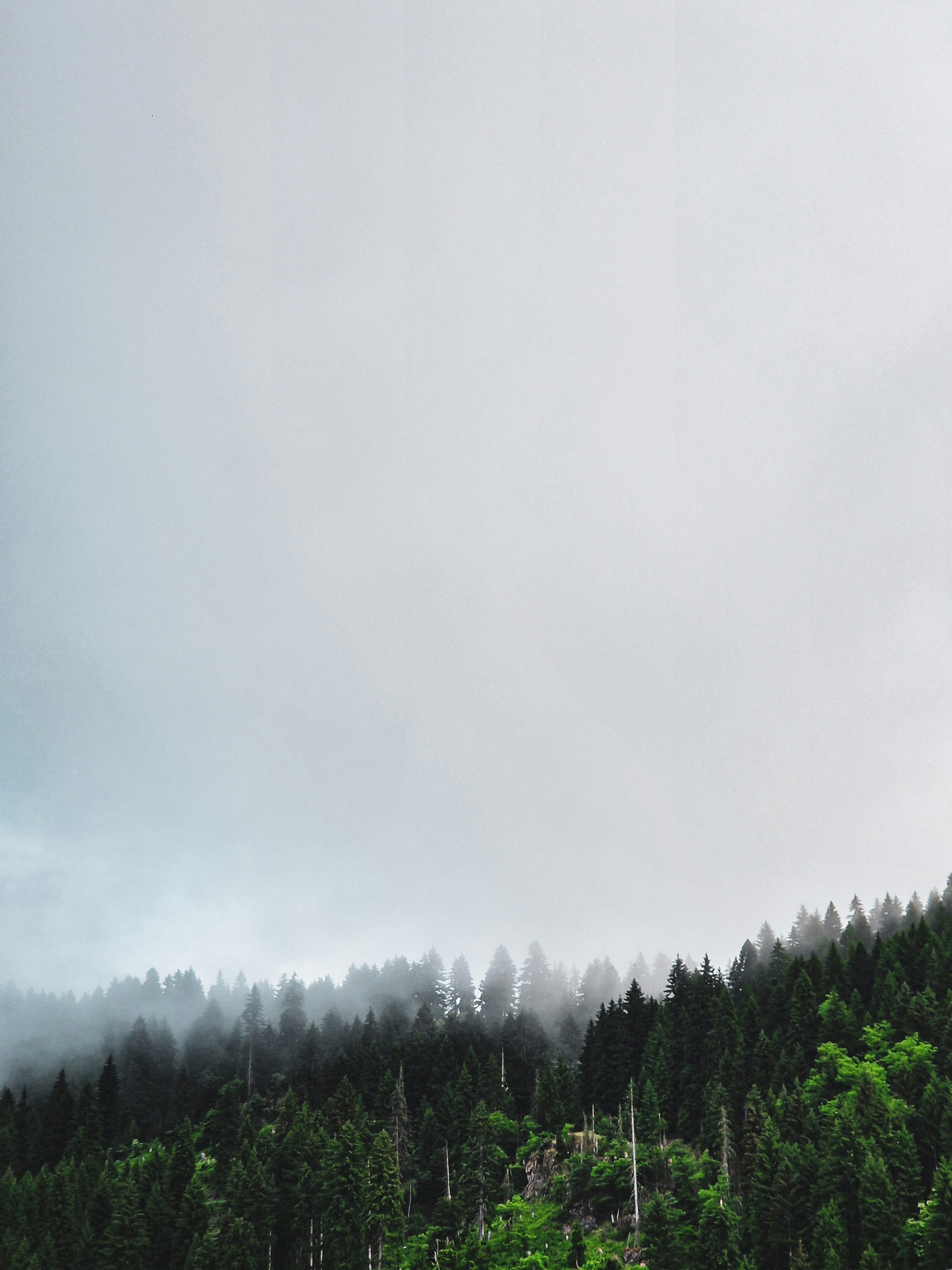 Photo by artem_makarov