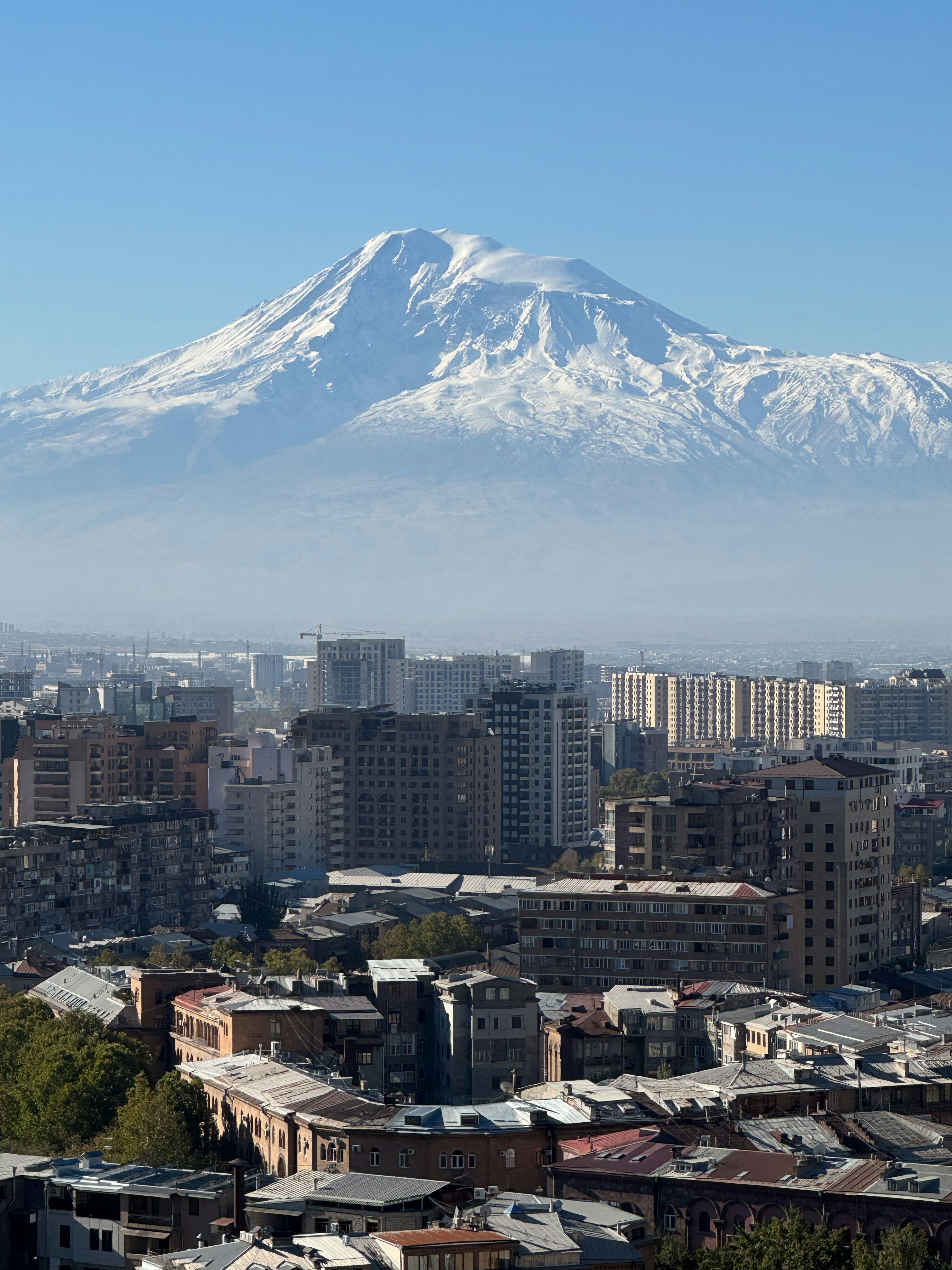 A view of a city with a mountain in the background