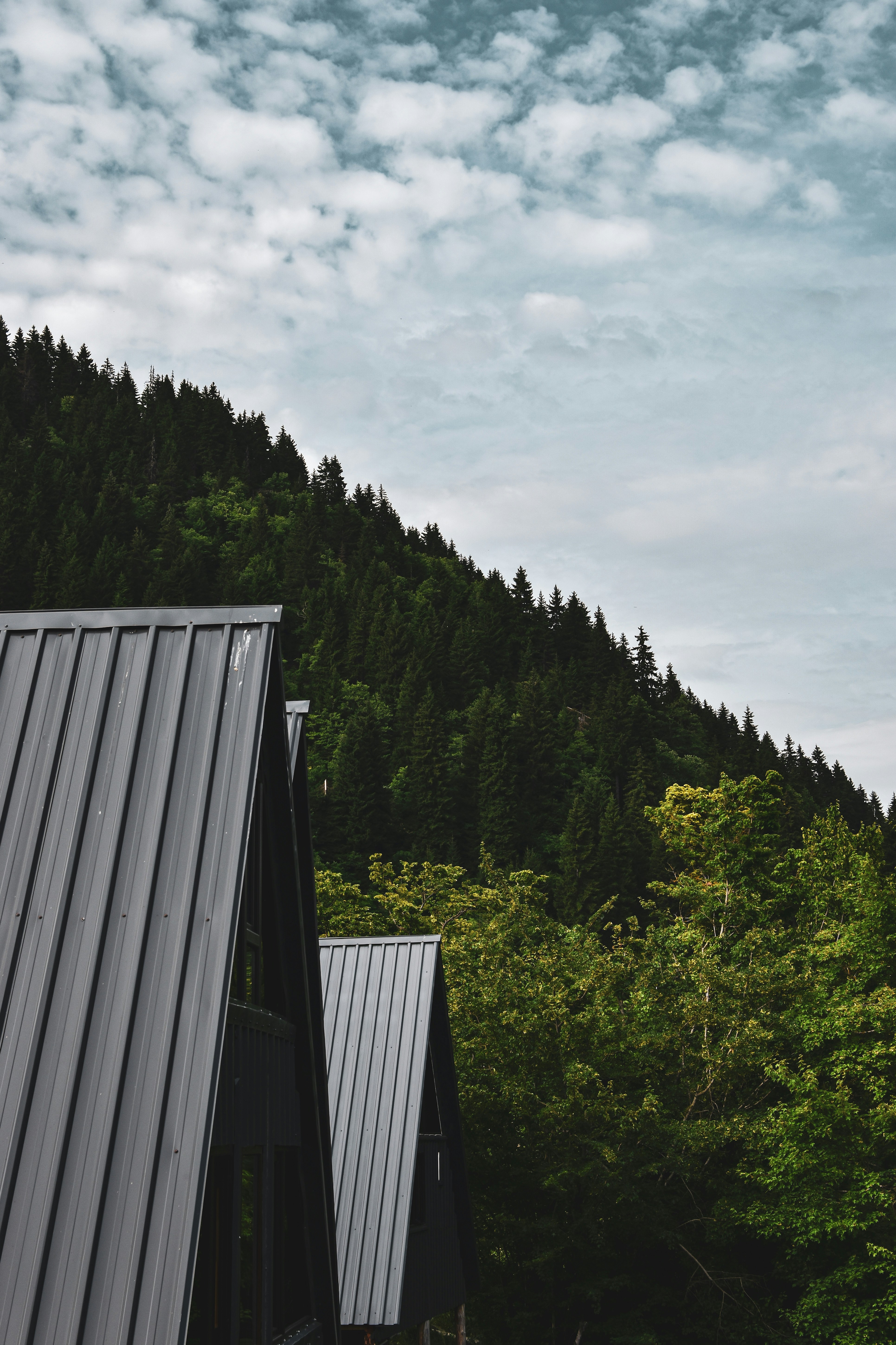 A couple of buildings sitting next to a forest
