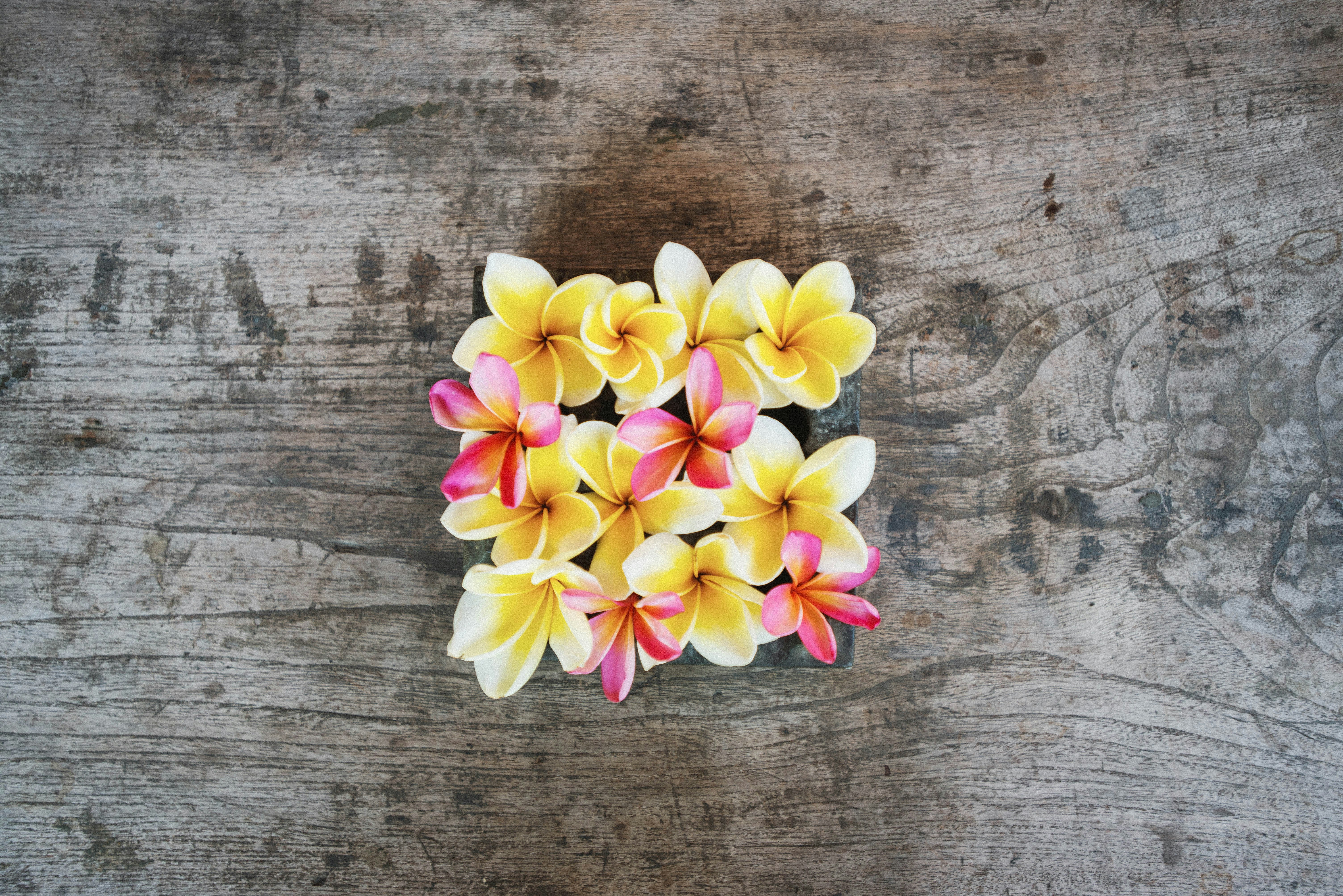 A bunch of flowers that are sitting on a table