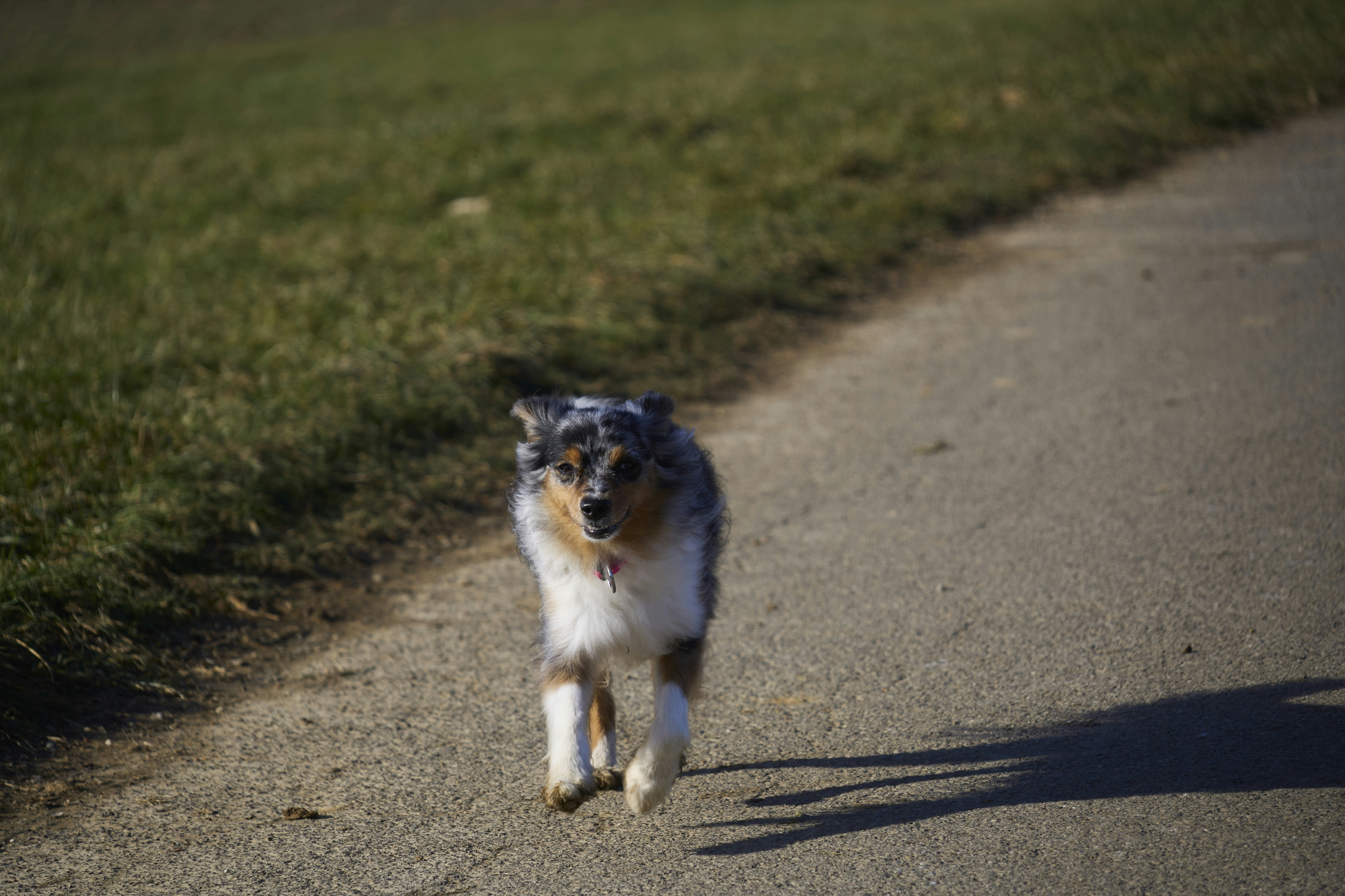 Photo by wolfgang_hasselmann