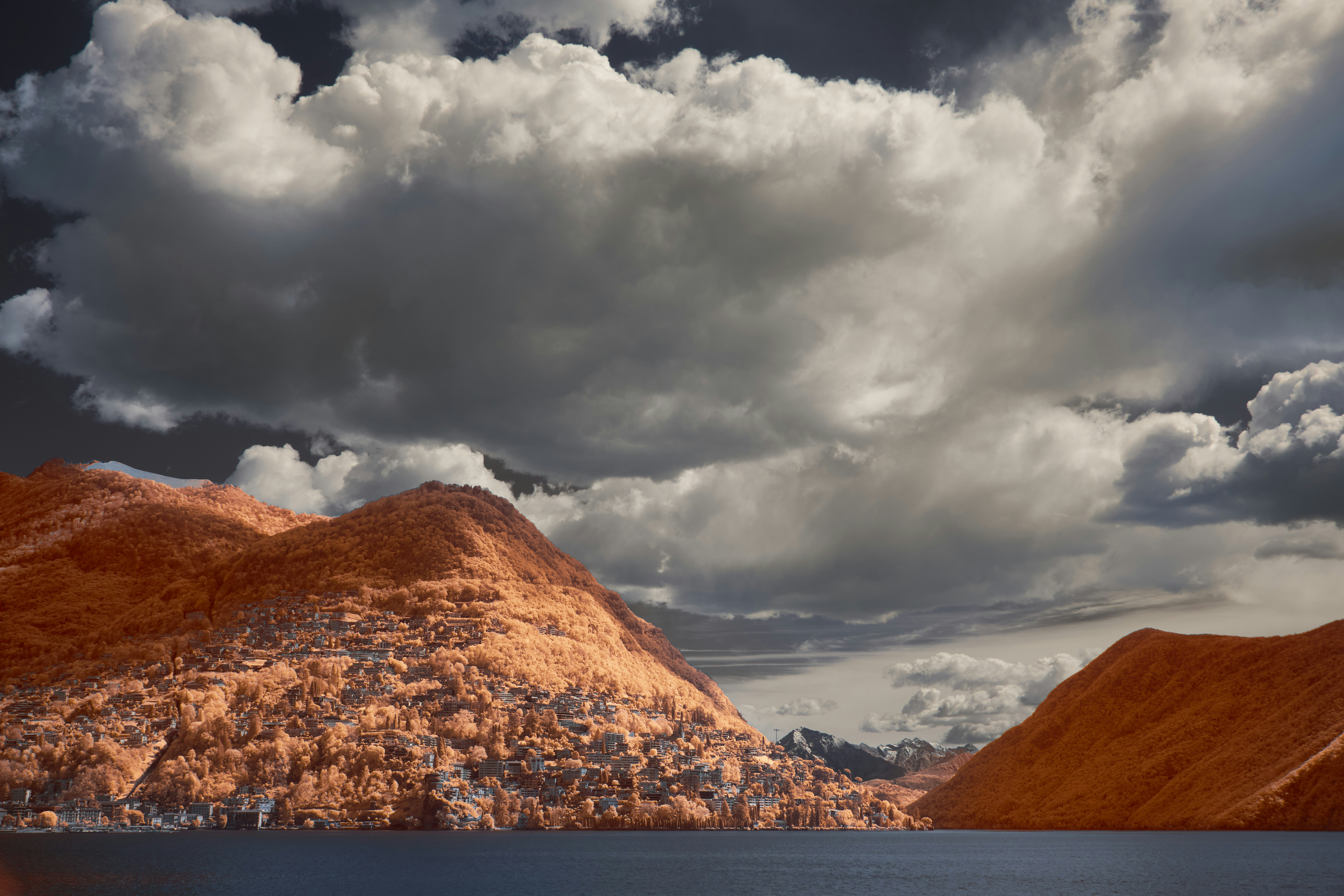 Photo by wolfgang_hasselmann