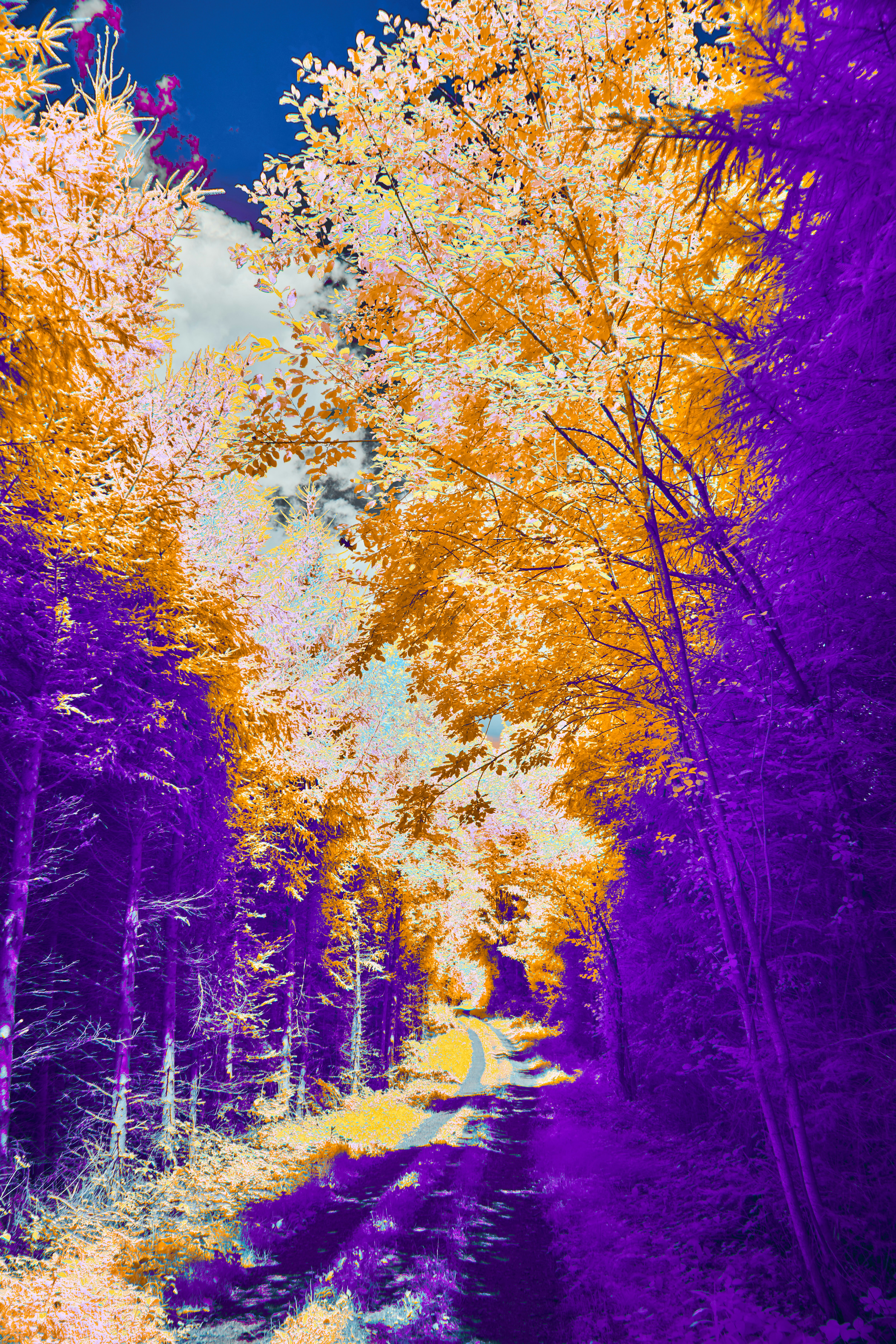 Photo by wolfgang_hasselmann