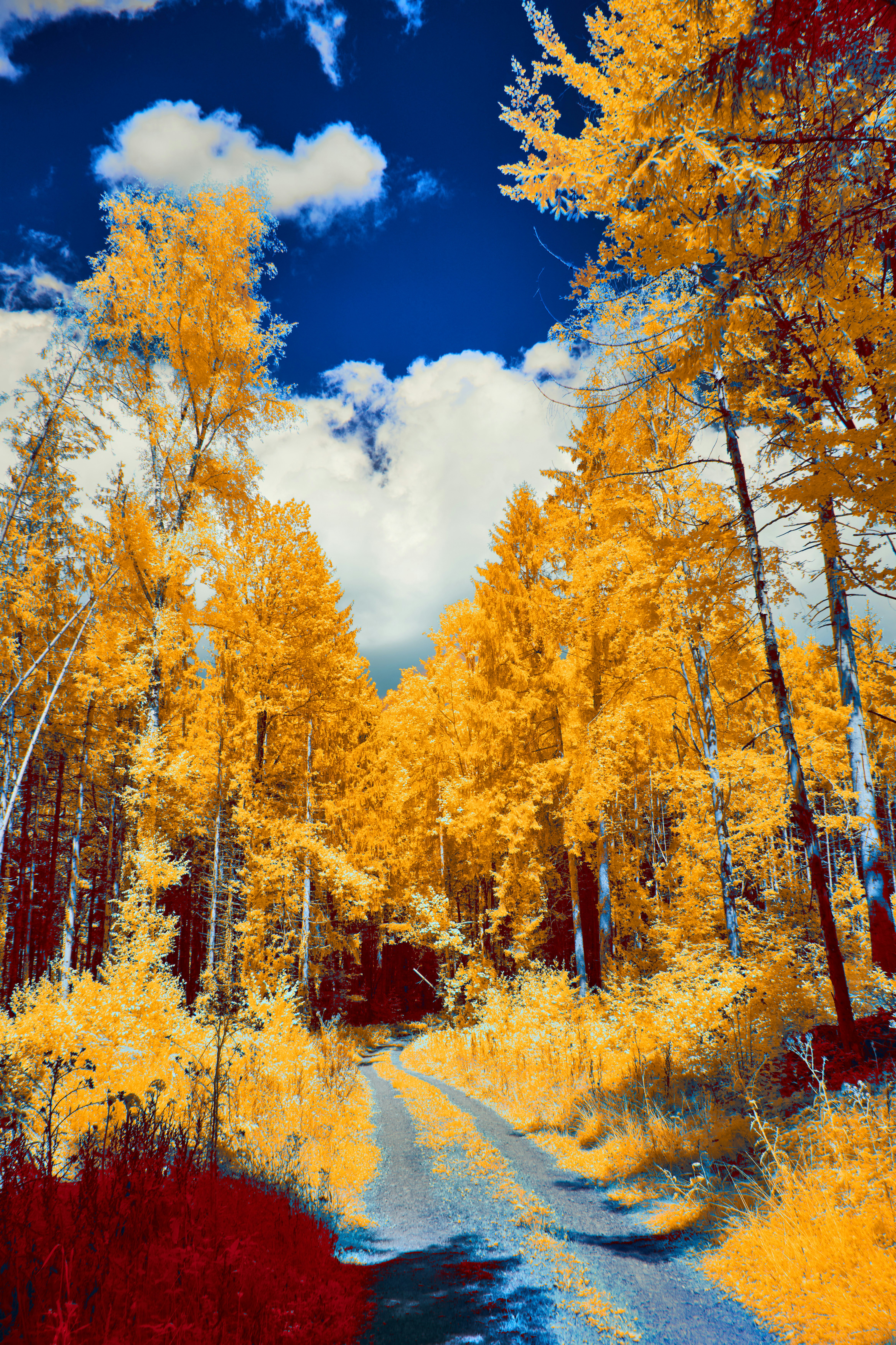 Photo by wolfgang_hasselmann