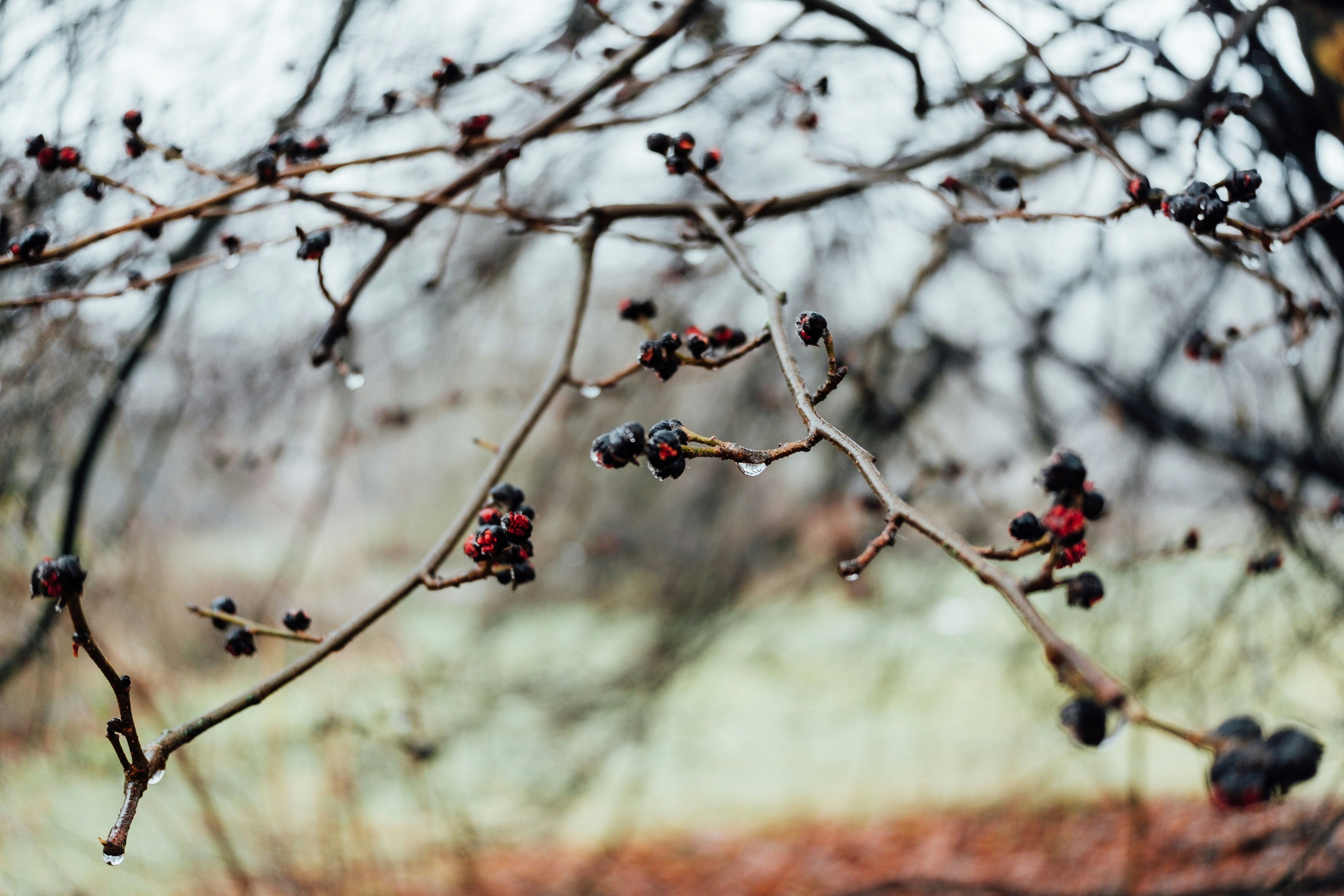 Photo by markuswinkler