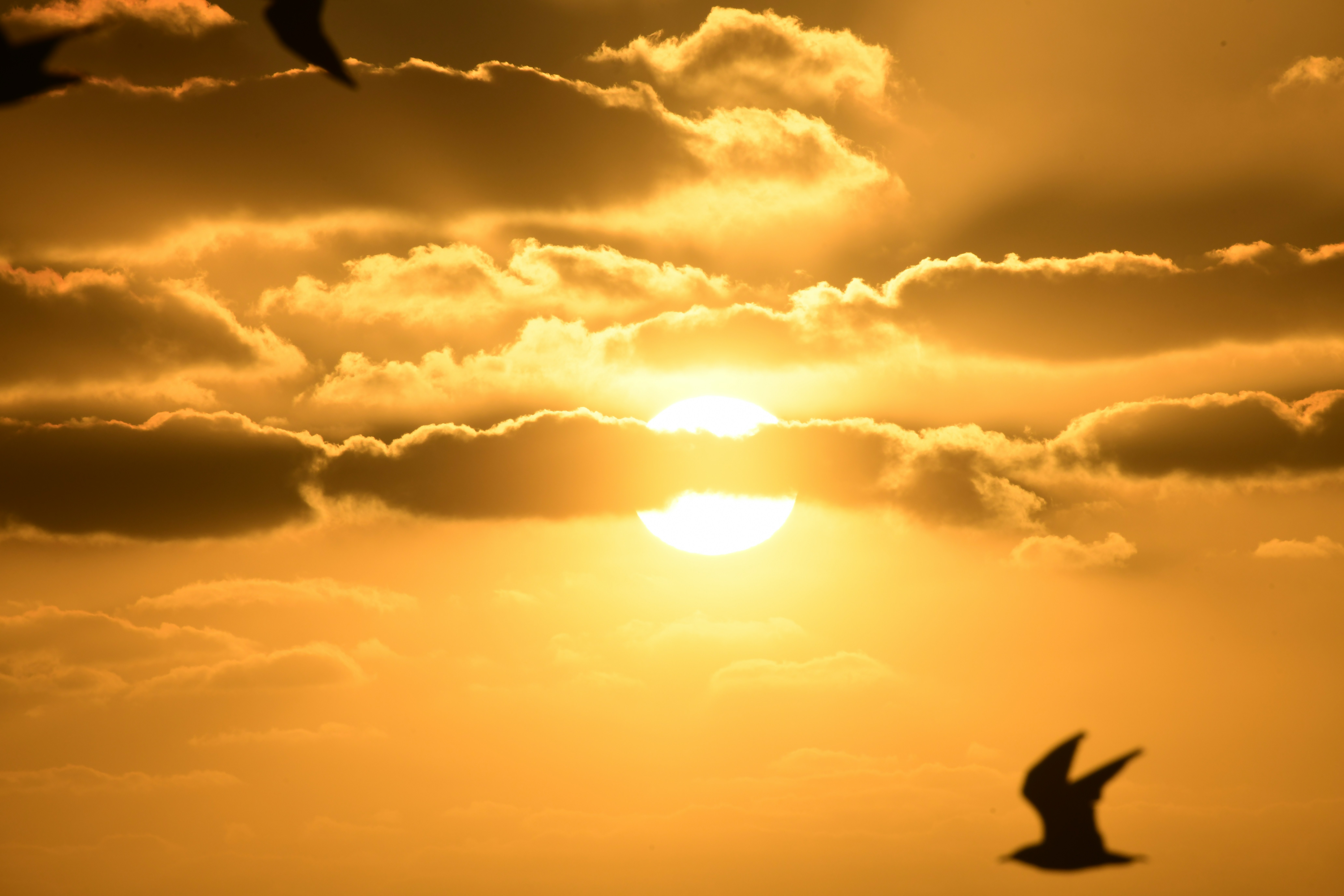 Photo by richard7seals