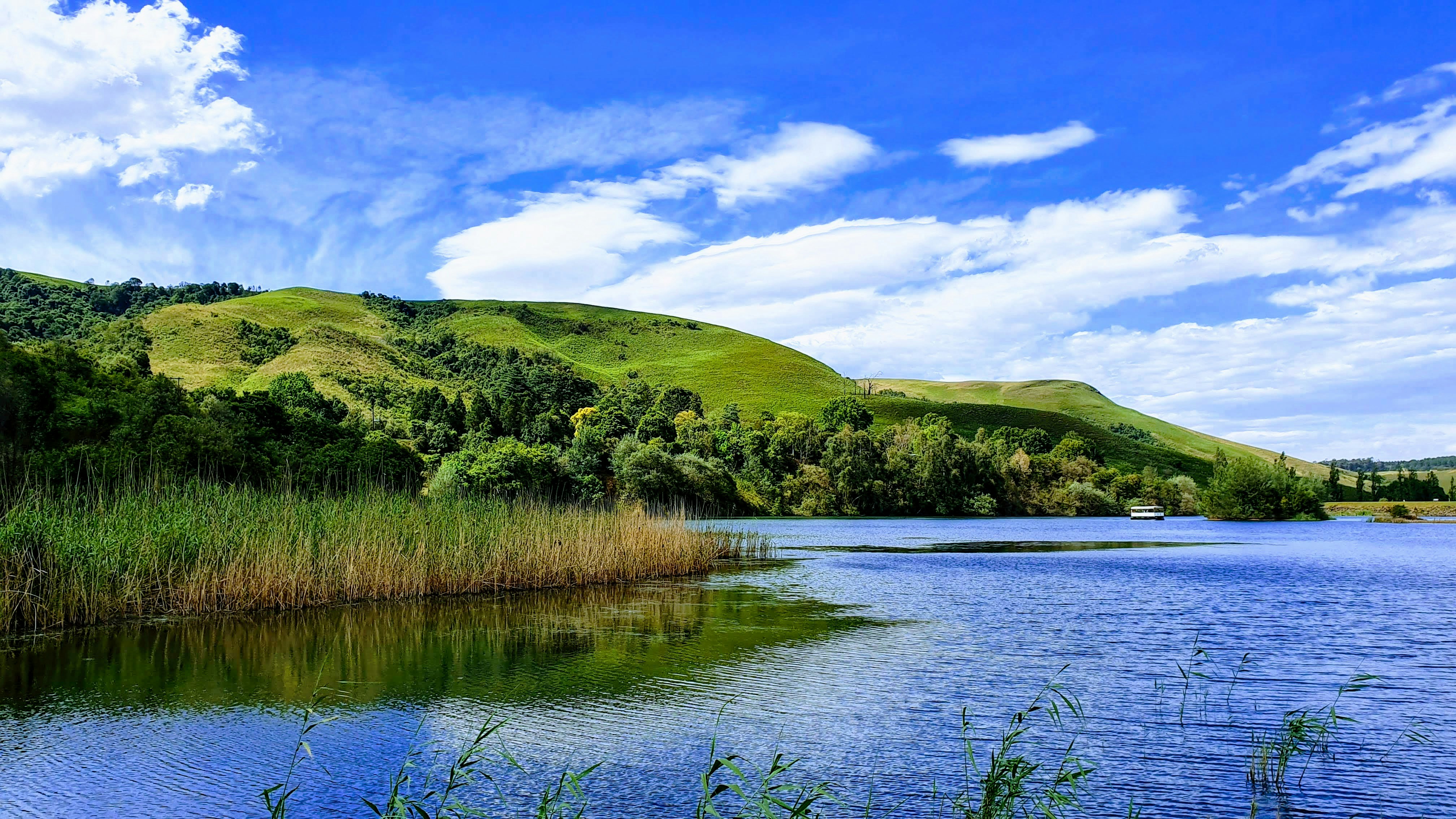 Photo by quite_frank_lee_92