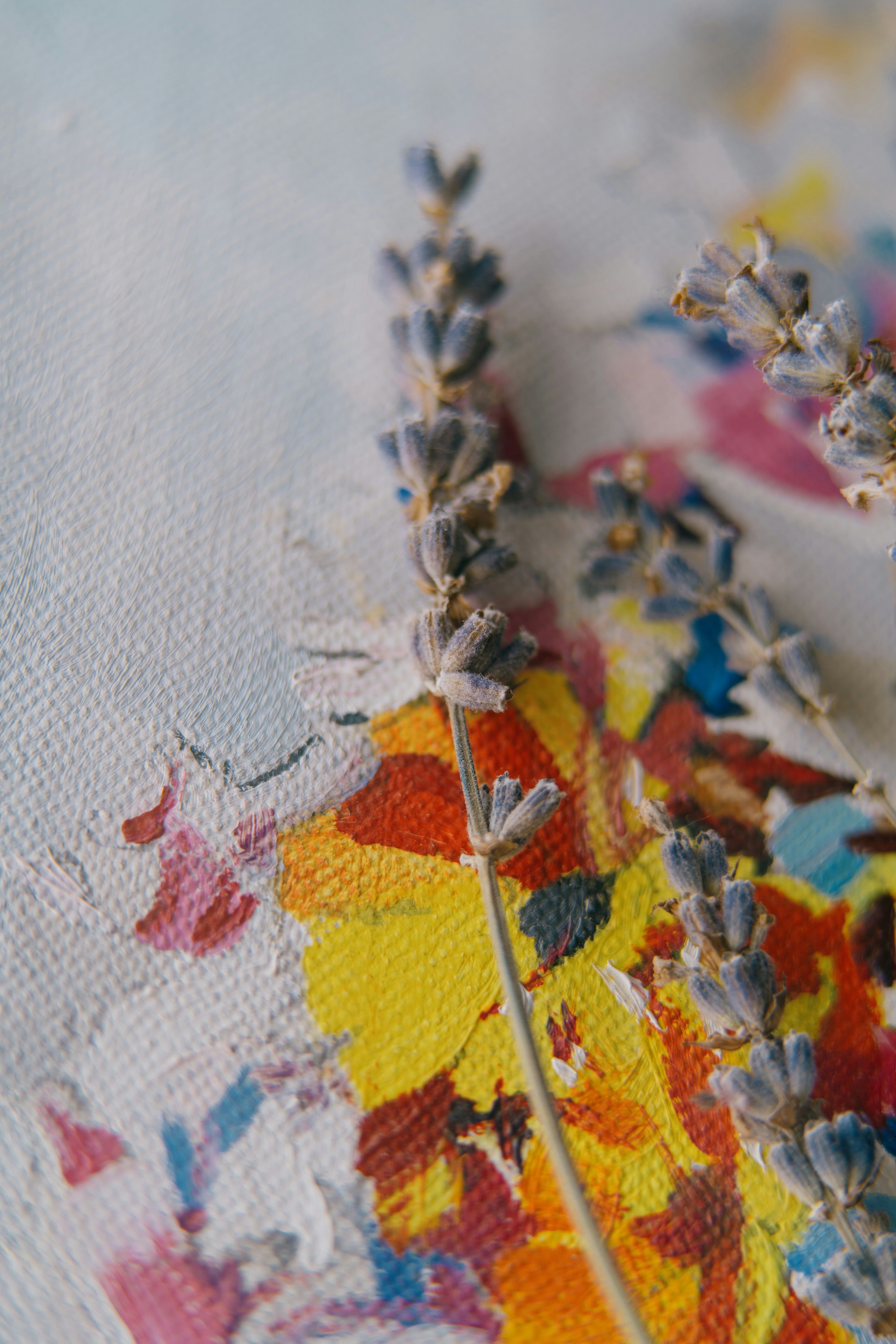 Photo by anamnesis33