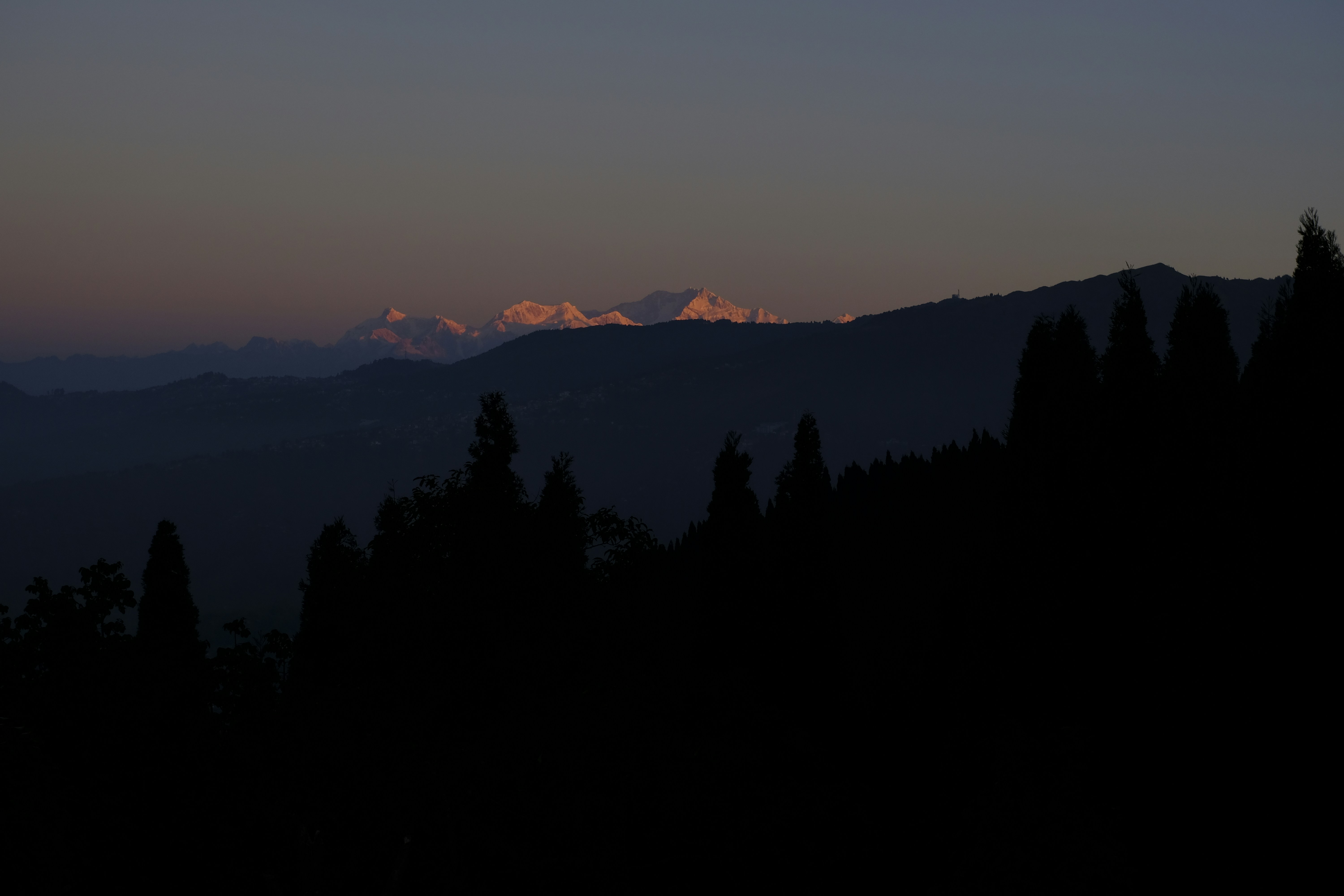 A view of a mountain range with trees in the foreground
