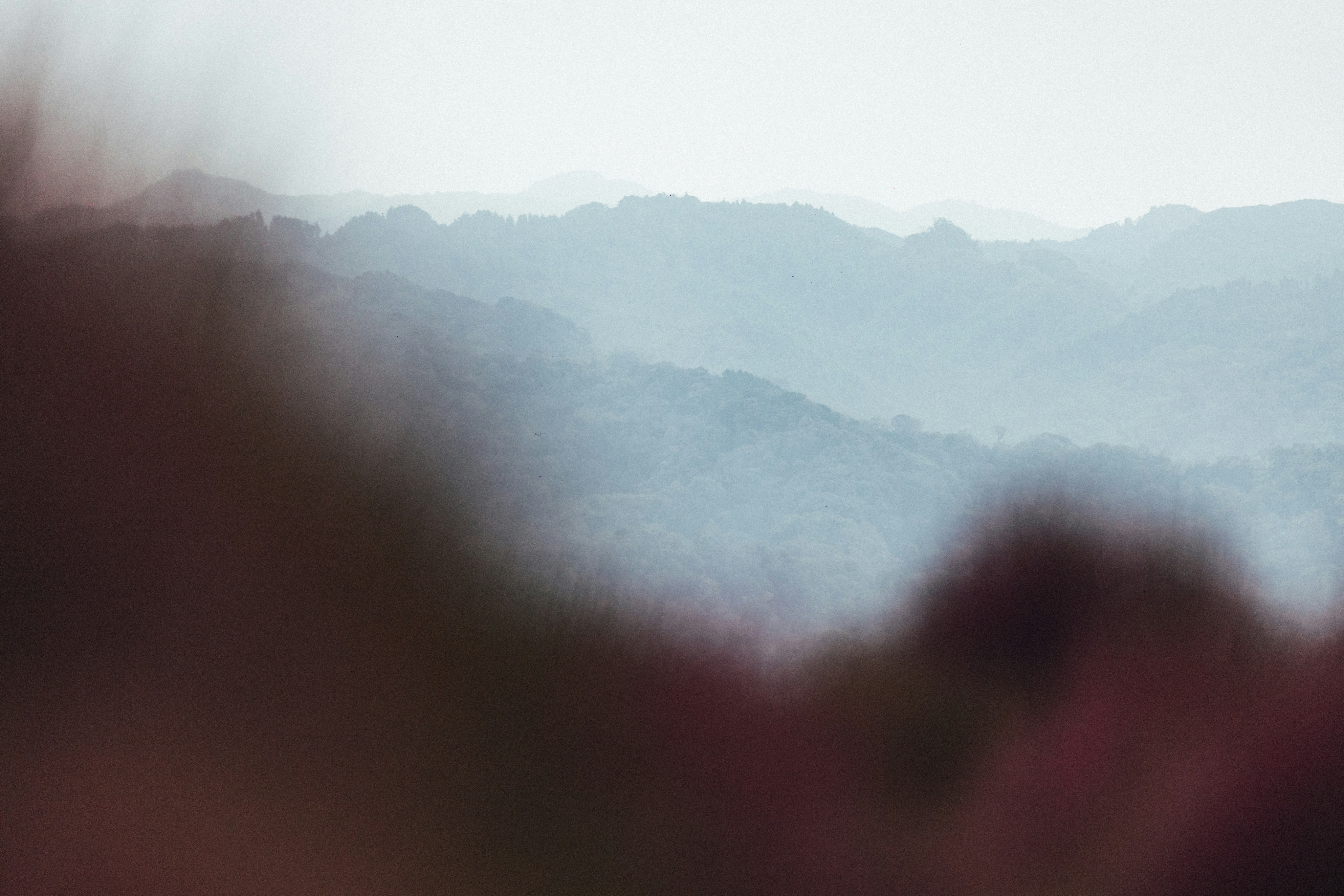 Photo by tsuyoshikozu