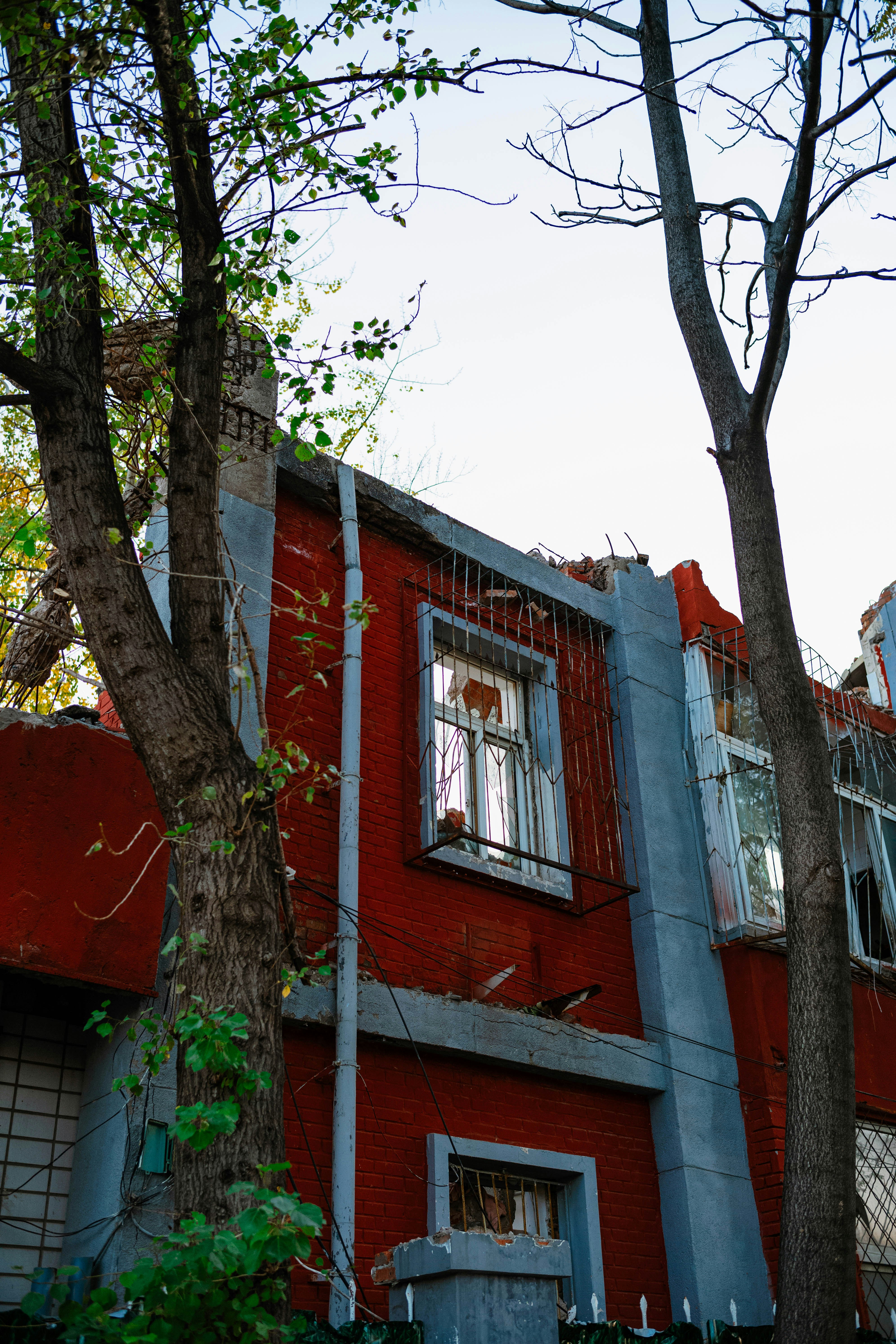 Photo by tommaomaoer