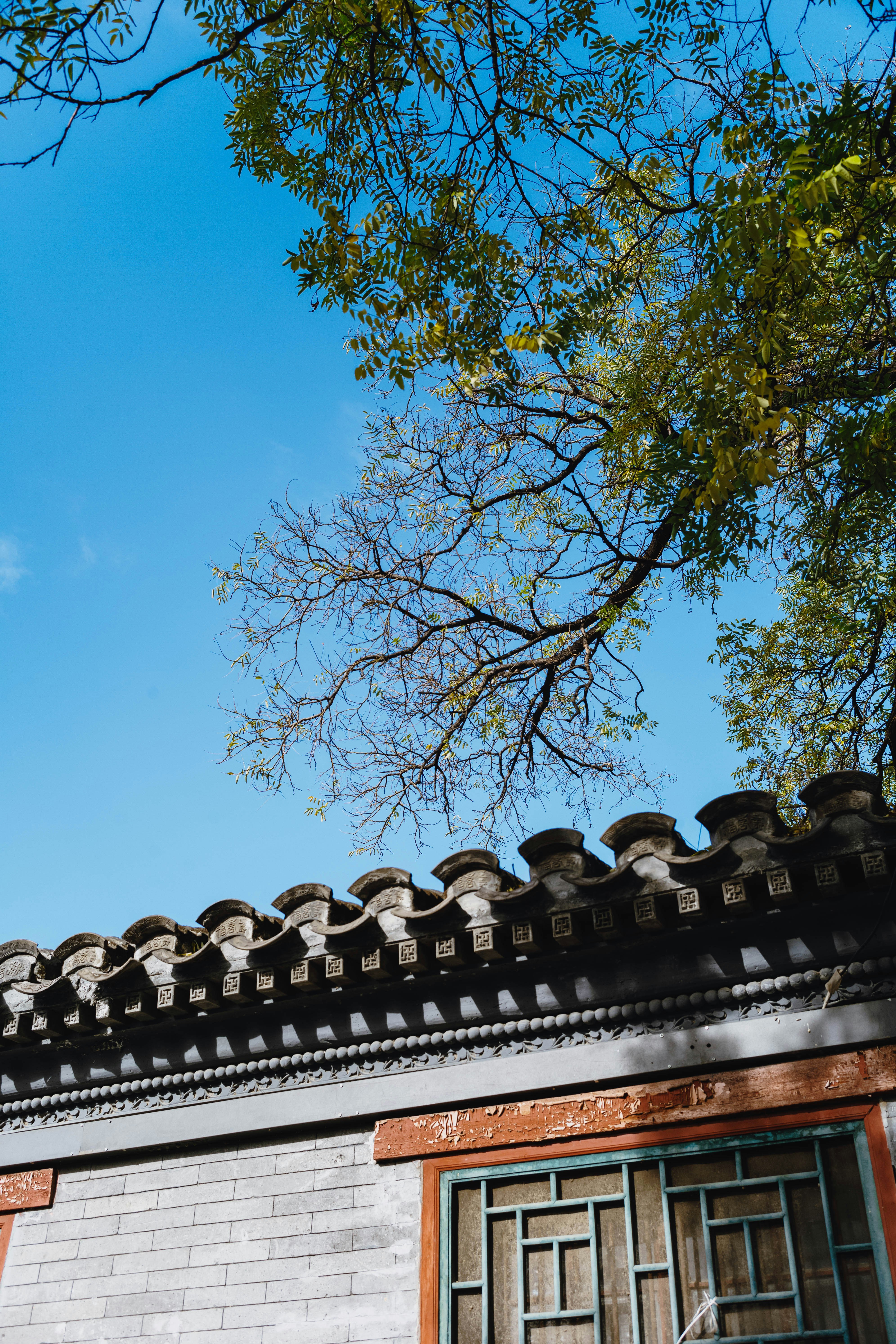 Photo by tommaomaoer