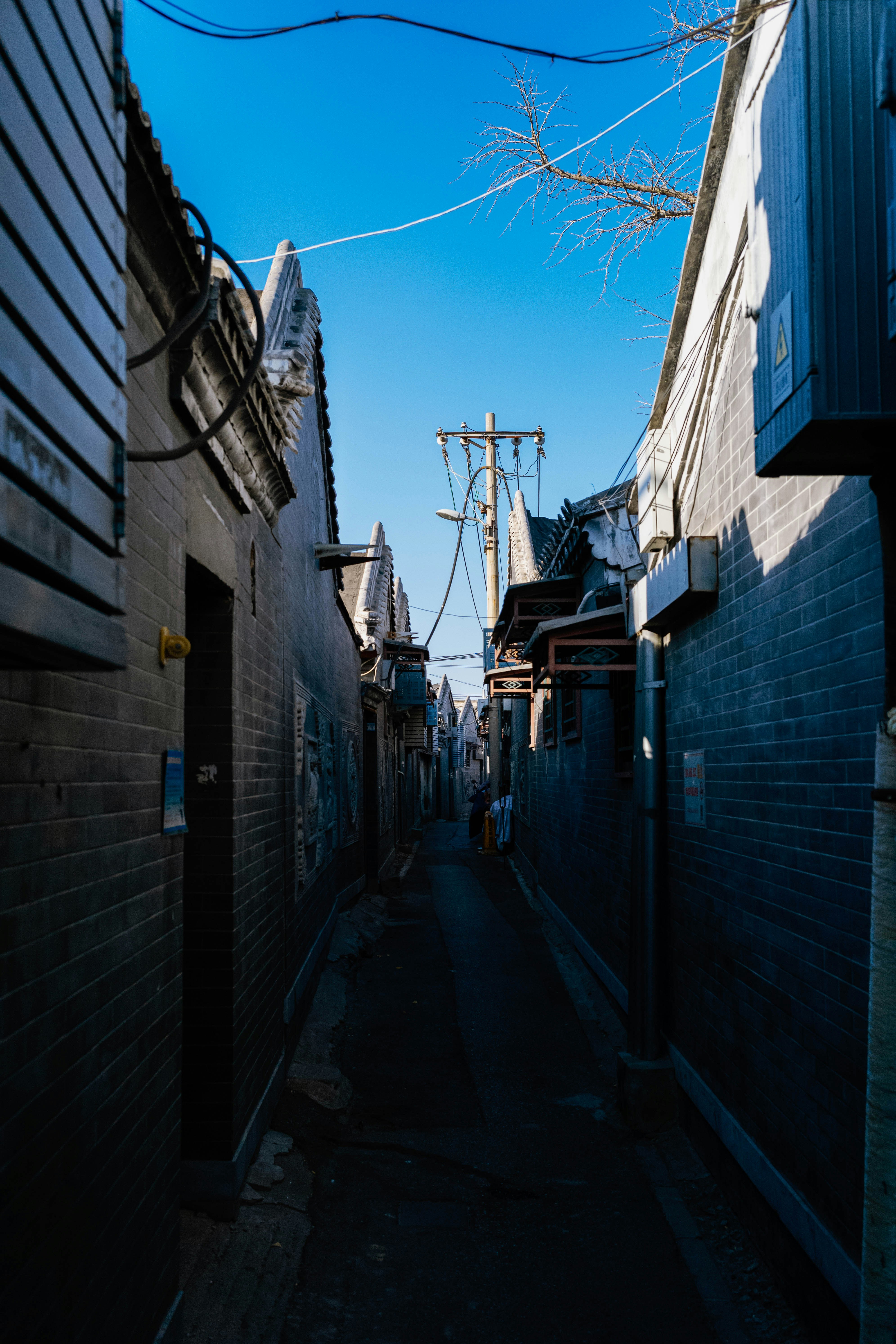 Photo by tommaomaoer