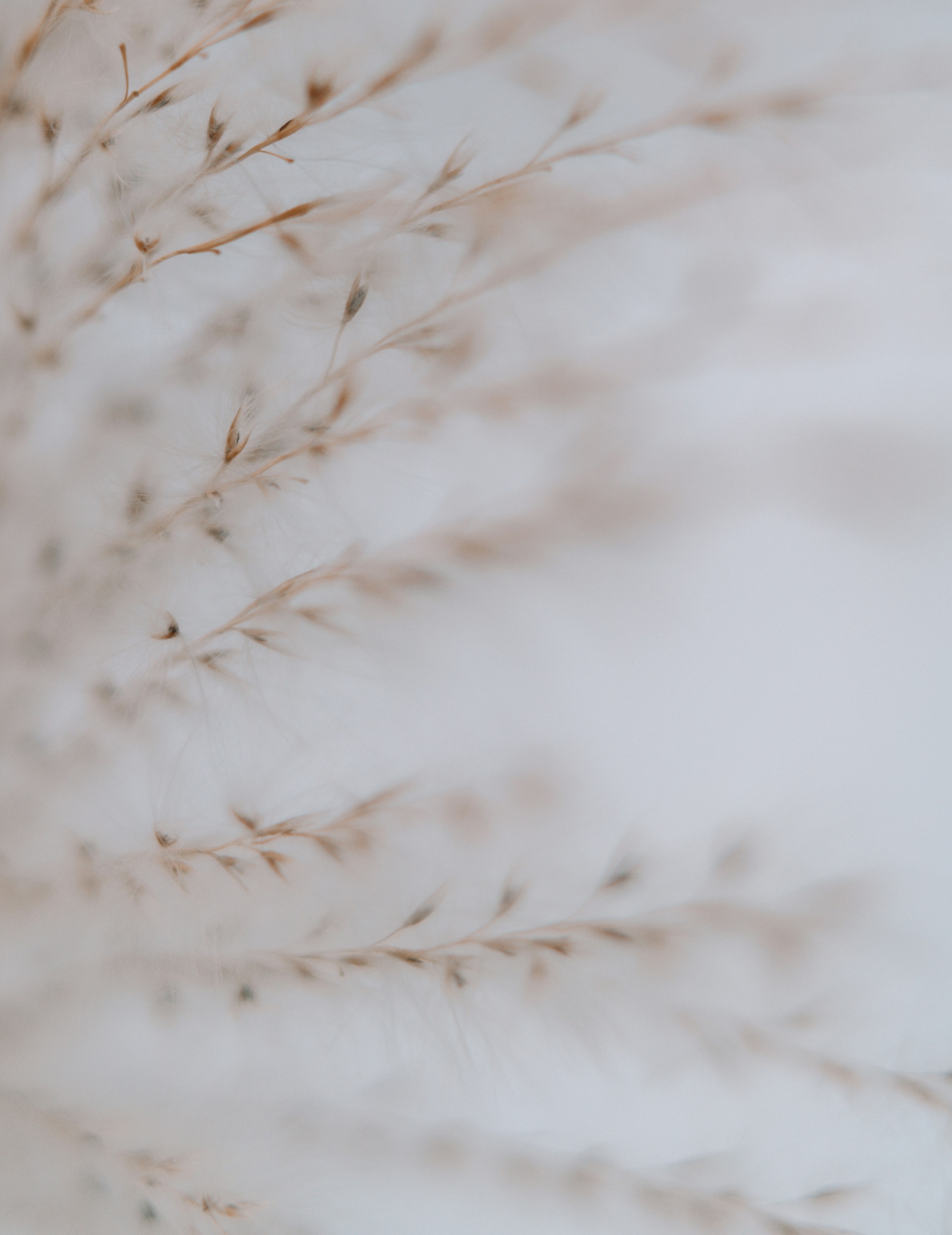 Photo by anamnesis33