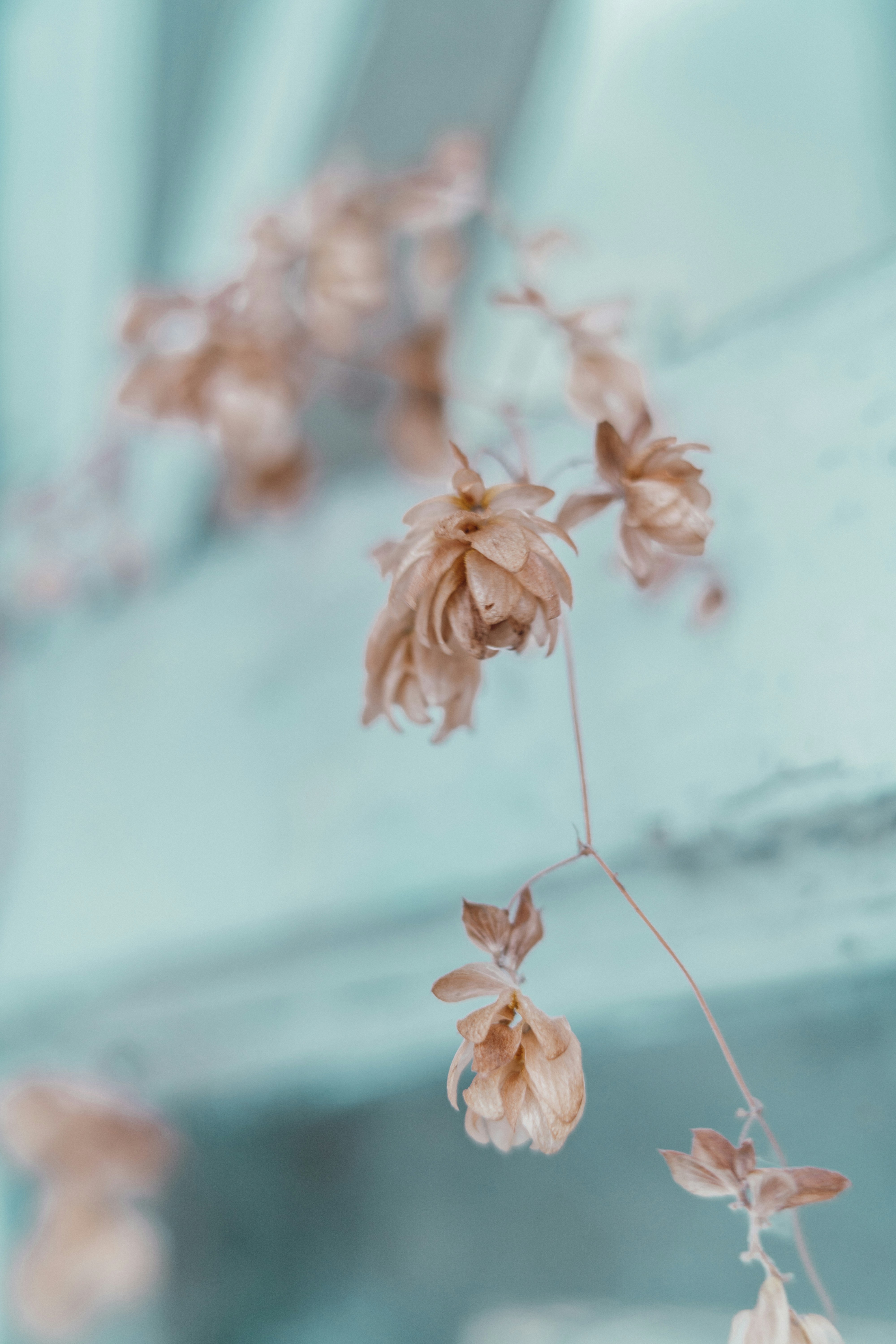 Photo by anamnesis33