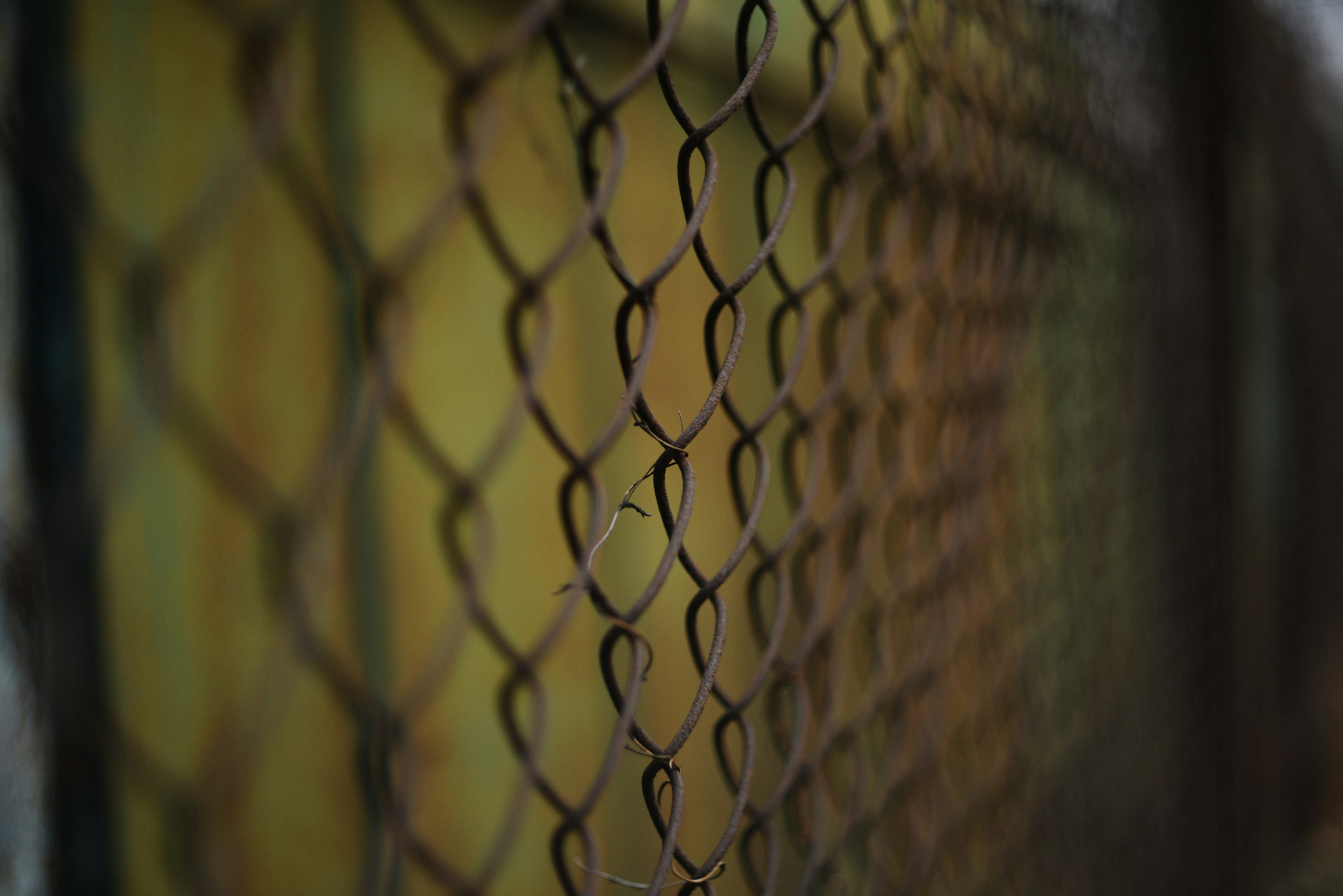 Photo by cherstve_pechivo